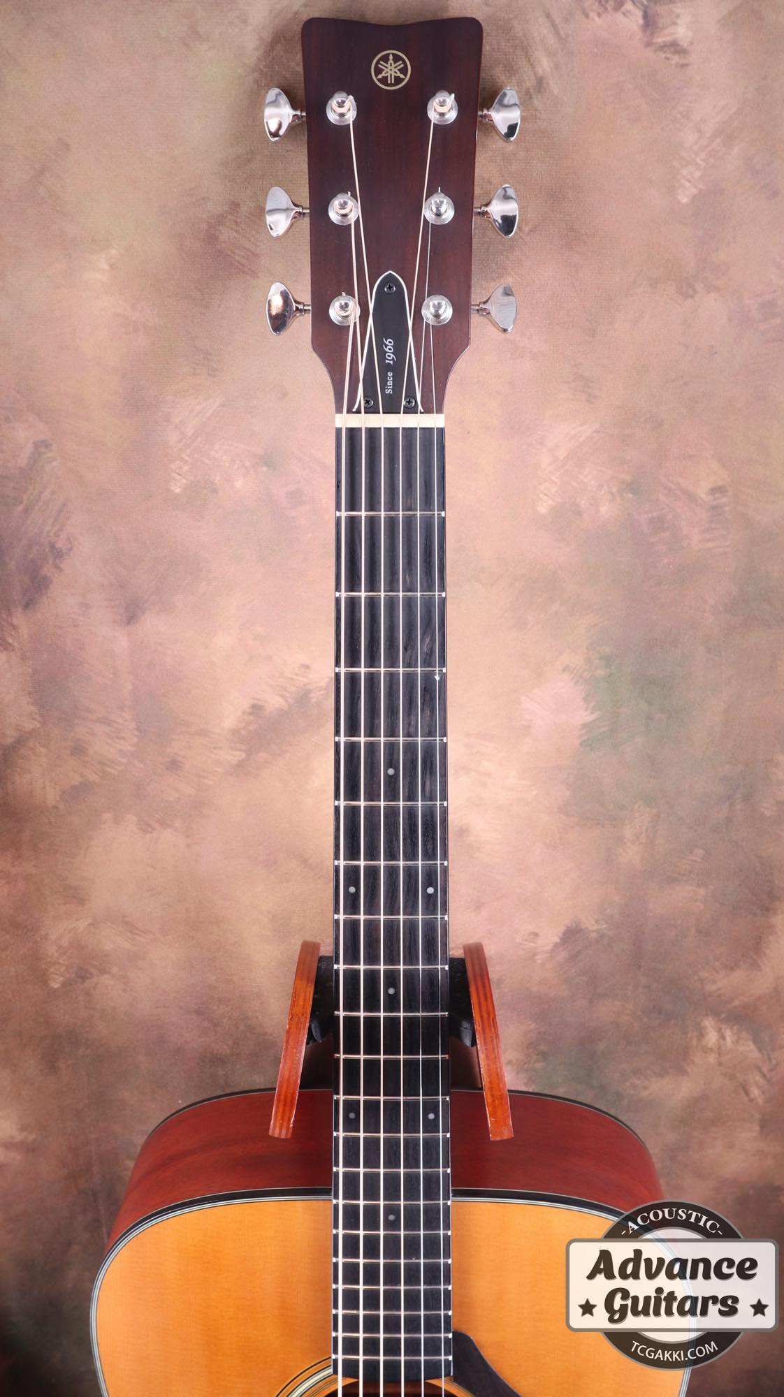 2020S FG5 - TC楽器 - TCGAKKI