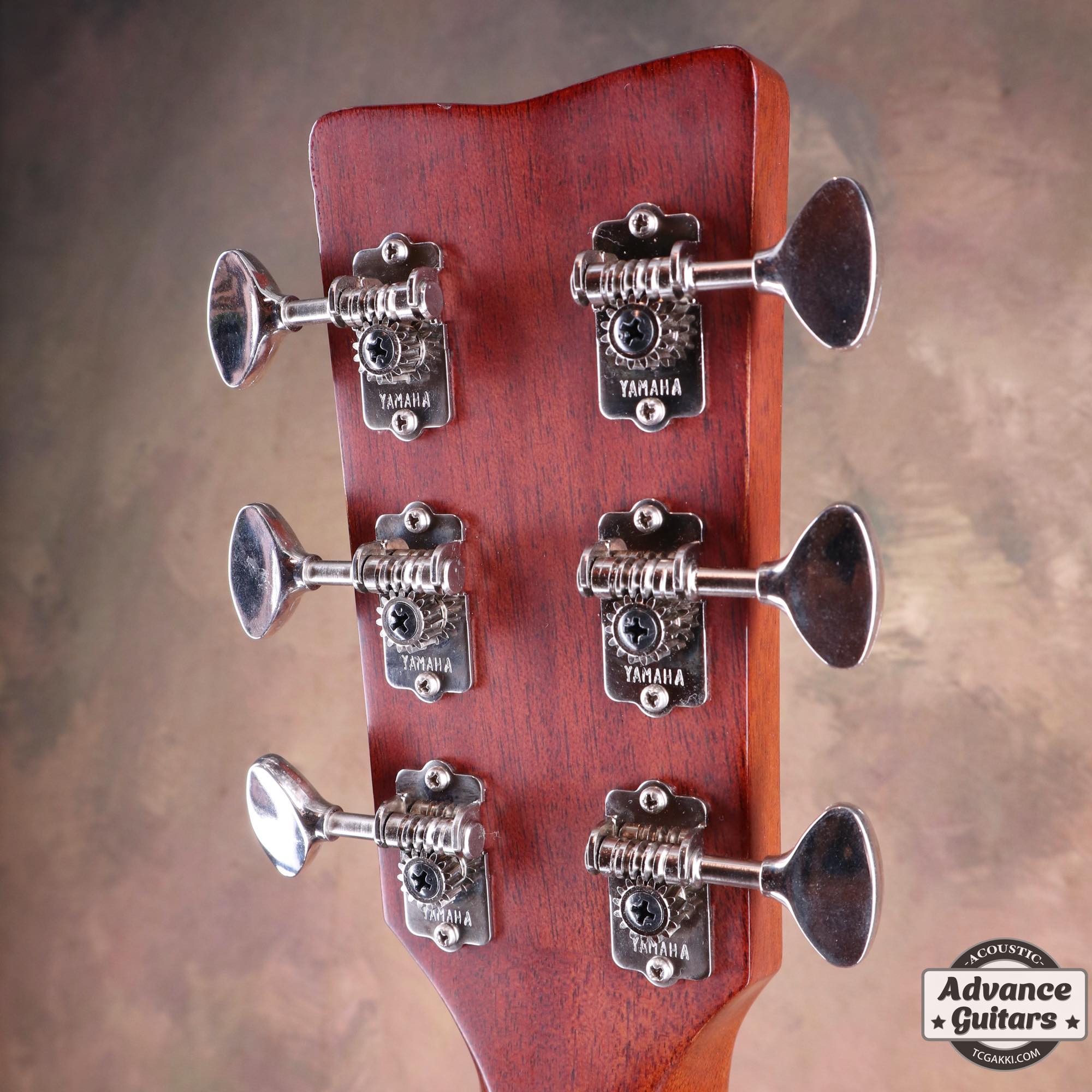 2020S FG5 - TC楽器 - TCGAKKI