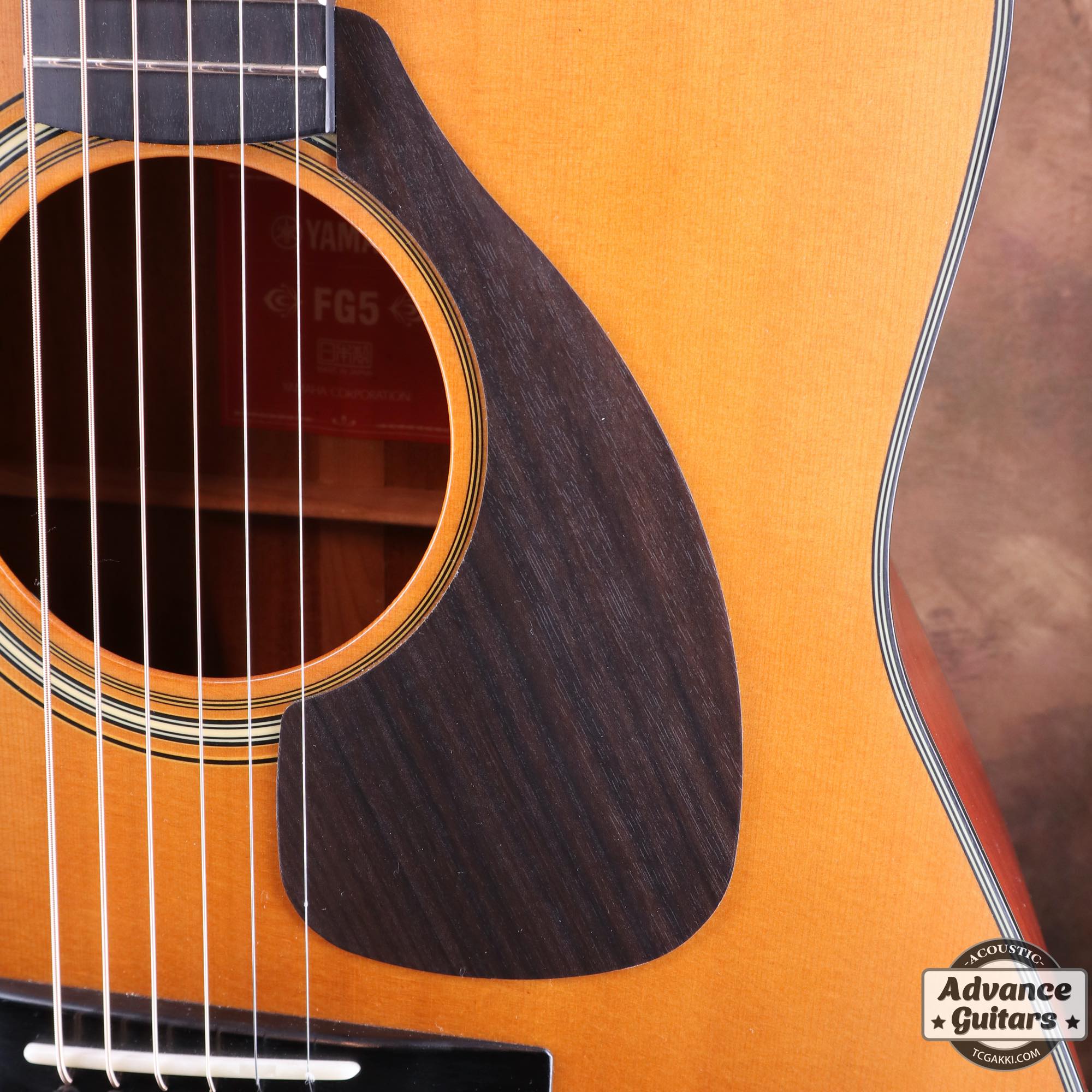 2020S FG5 - TC楽器 - TCGAKKI