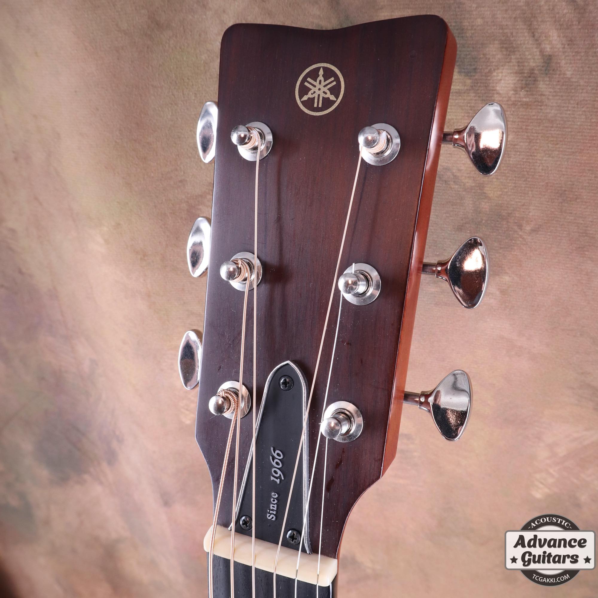 2020S FG5 - TC楽器 - TCGAKKI