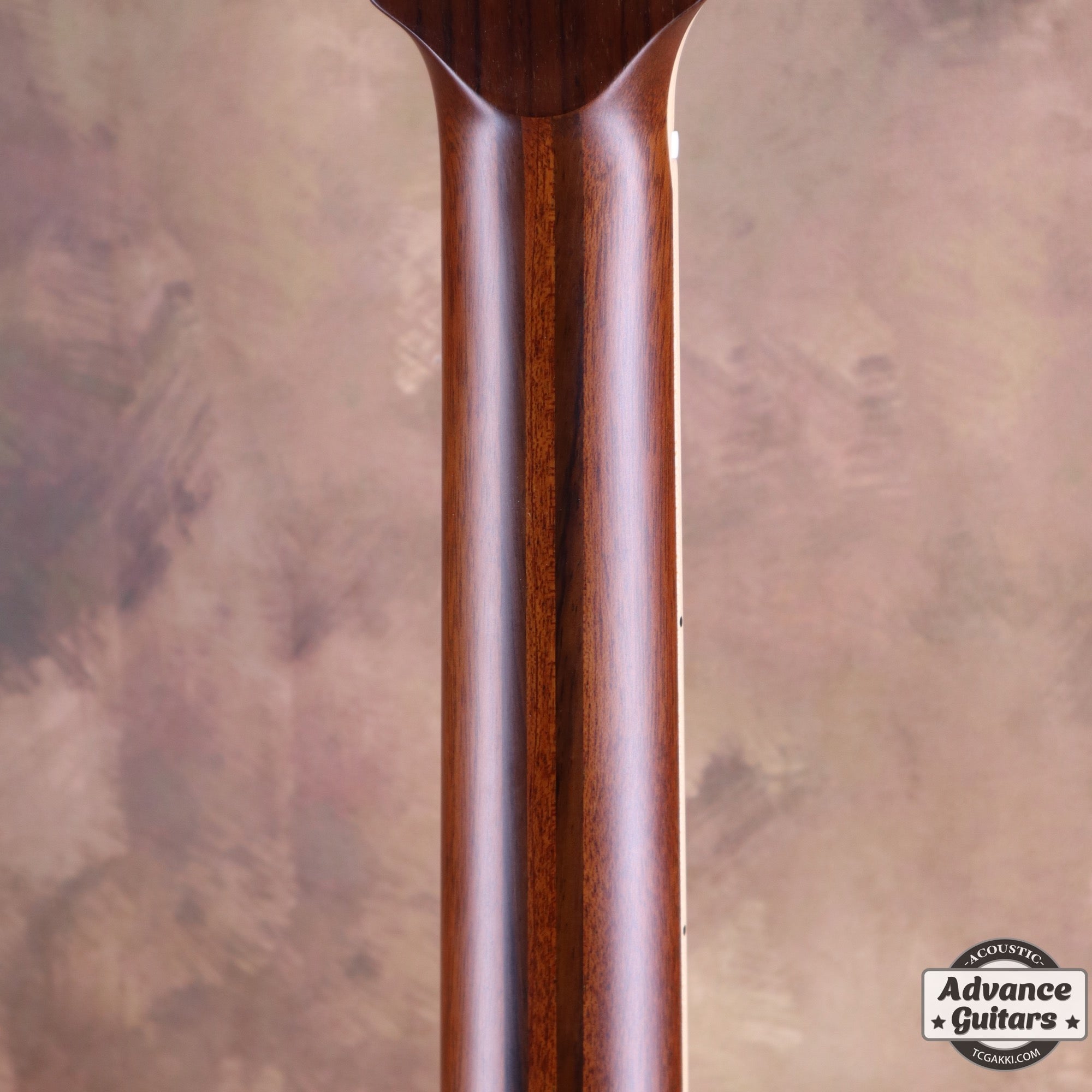 2021年製 LJ36 - TC楽器 - TCGAKKI