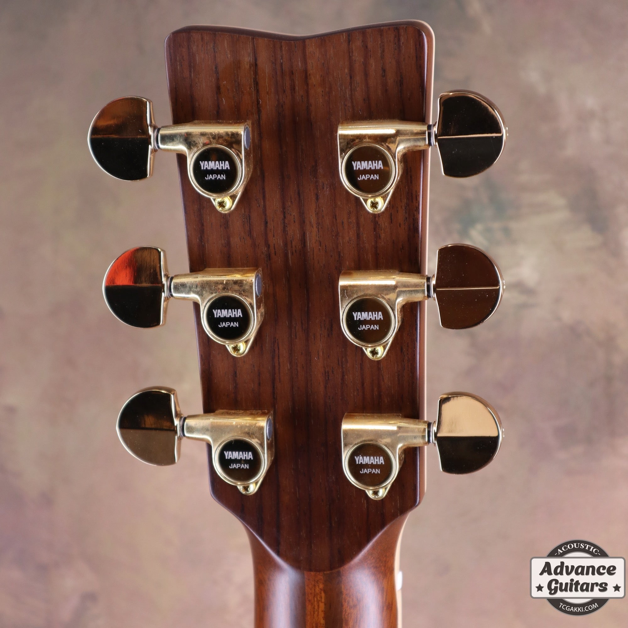 2021年製 LJ36 - TC楽器 - TCGAKKI