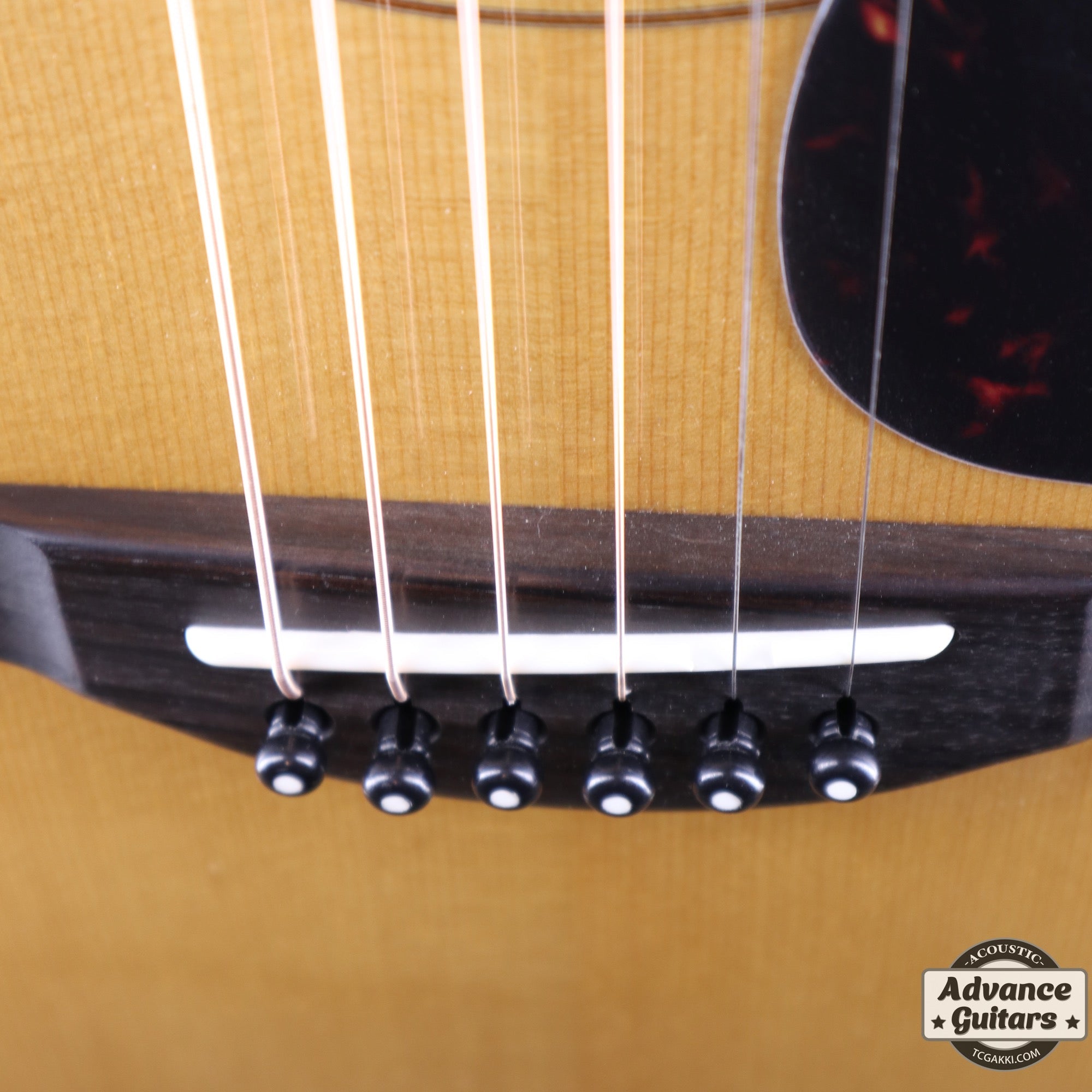 2021年製 LJ36 - TC楽器 - TCGAKKI