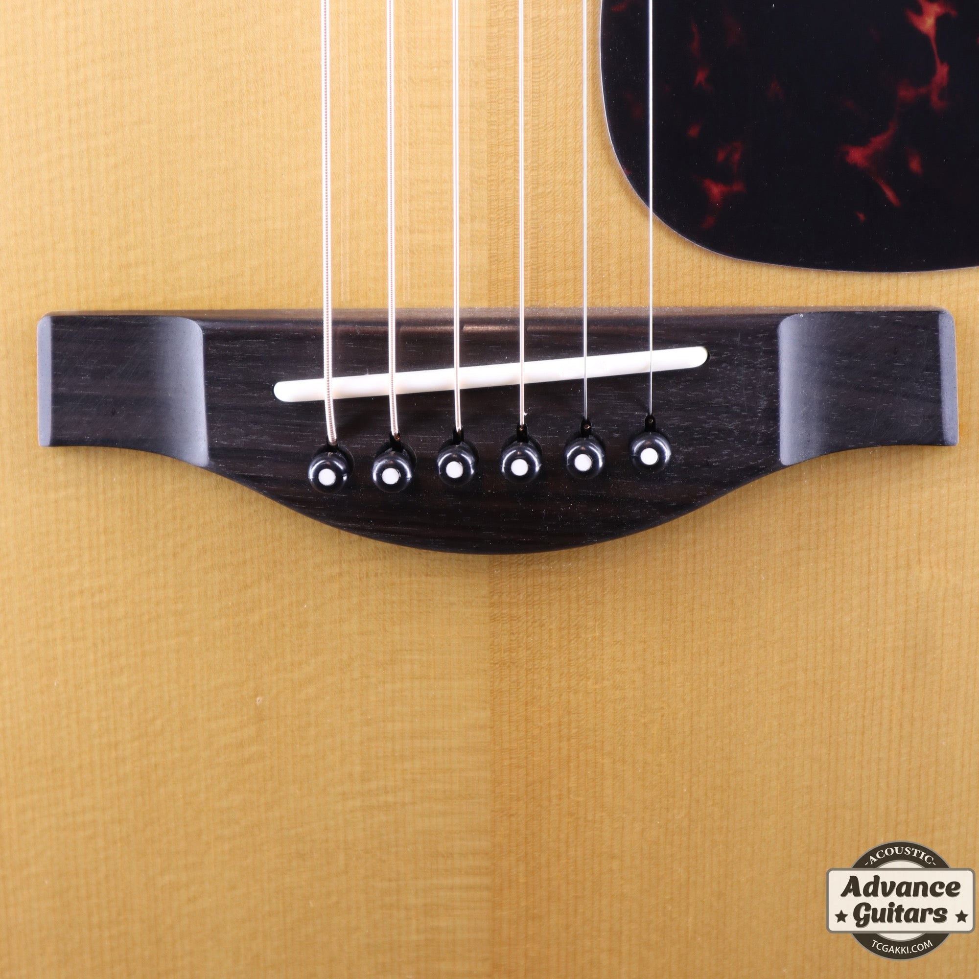 2021年製 LJ36 - TC楽器 - TCGAKKI