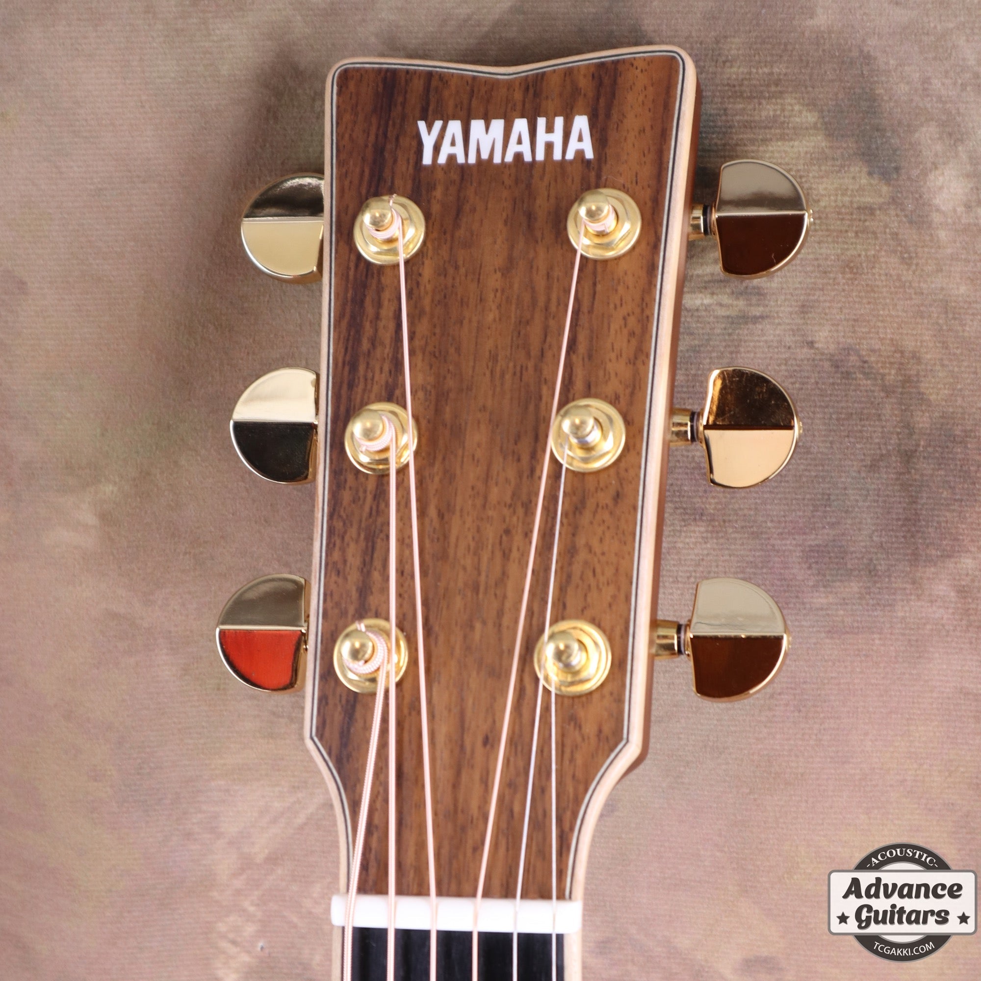 2021年製 LJ36 - TC楽器 - TCGAKKI