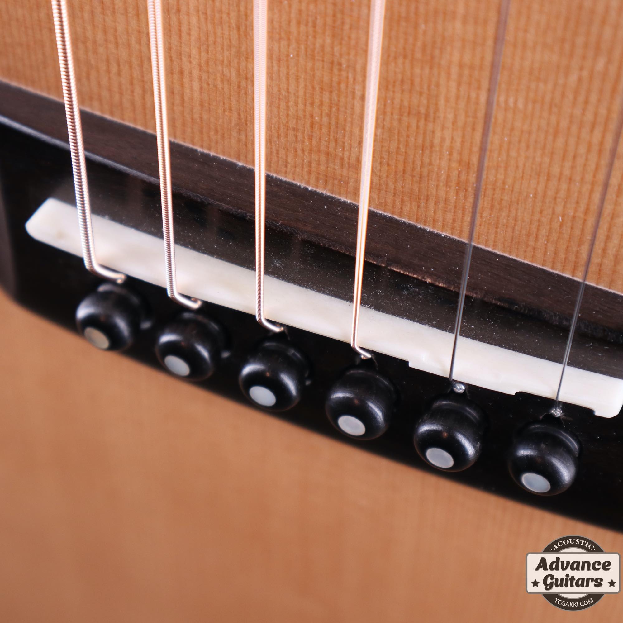 2021年製 LO - 130 SP SG - TC楽器 - TCGAKKI