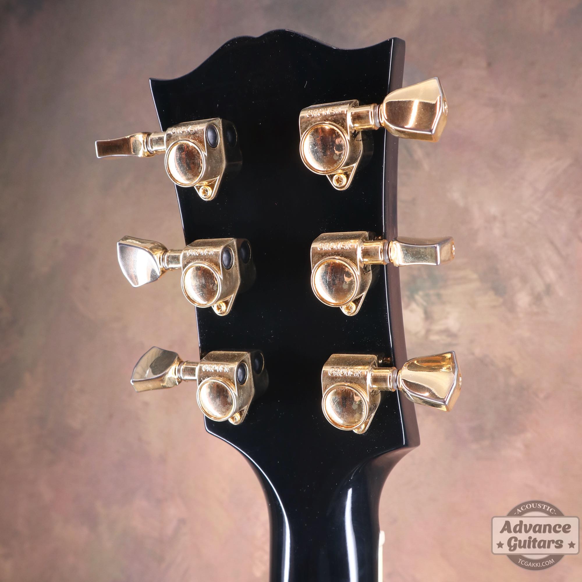 2022年製 DOVE ELVIS - TC楽器 - TCGAKKI