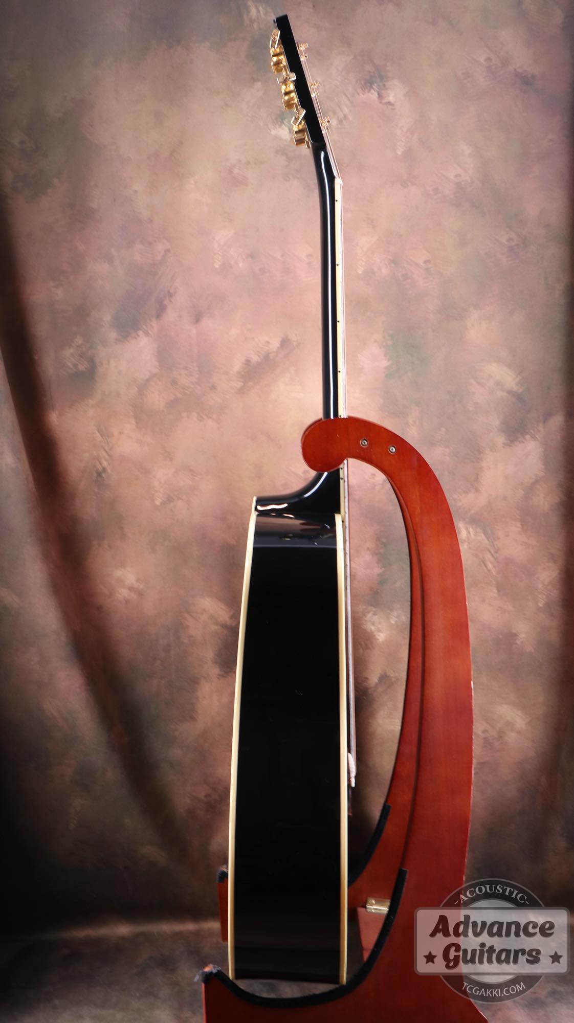 2022年製 DOVE ELVIS - TC楽器 - TCGAKKI