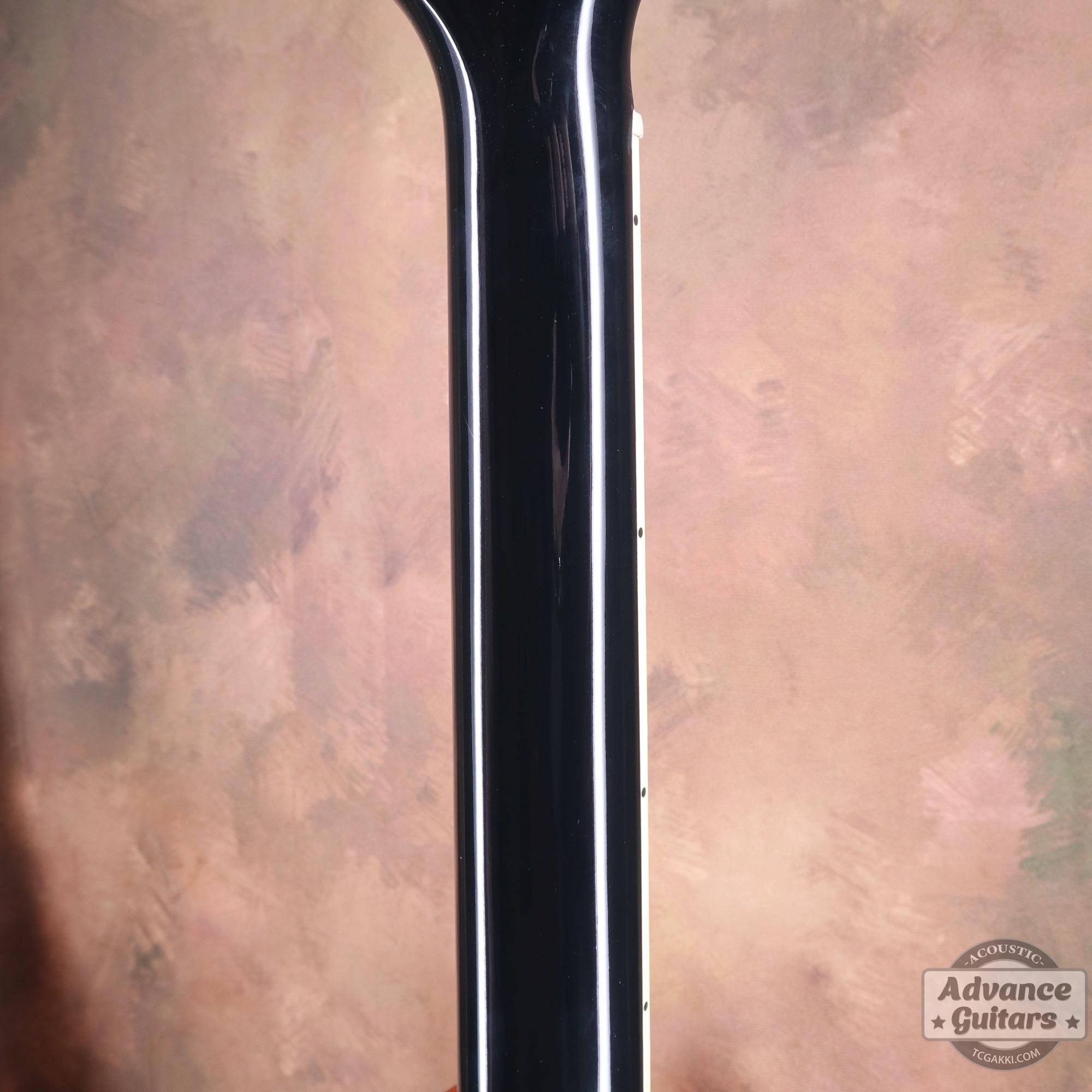 2022年製 DOVE ELVIS - TC楽器 - TCGAKKI