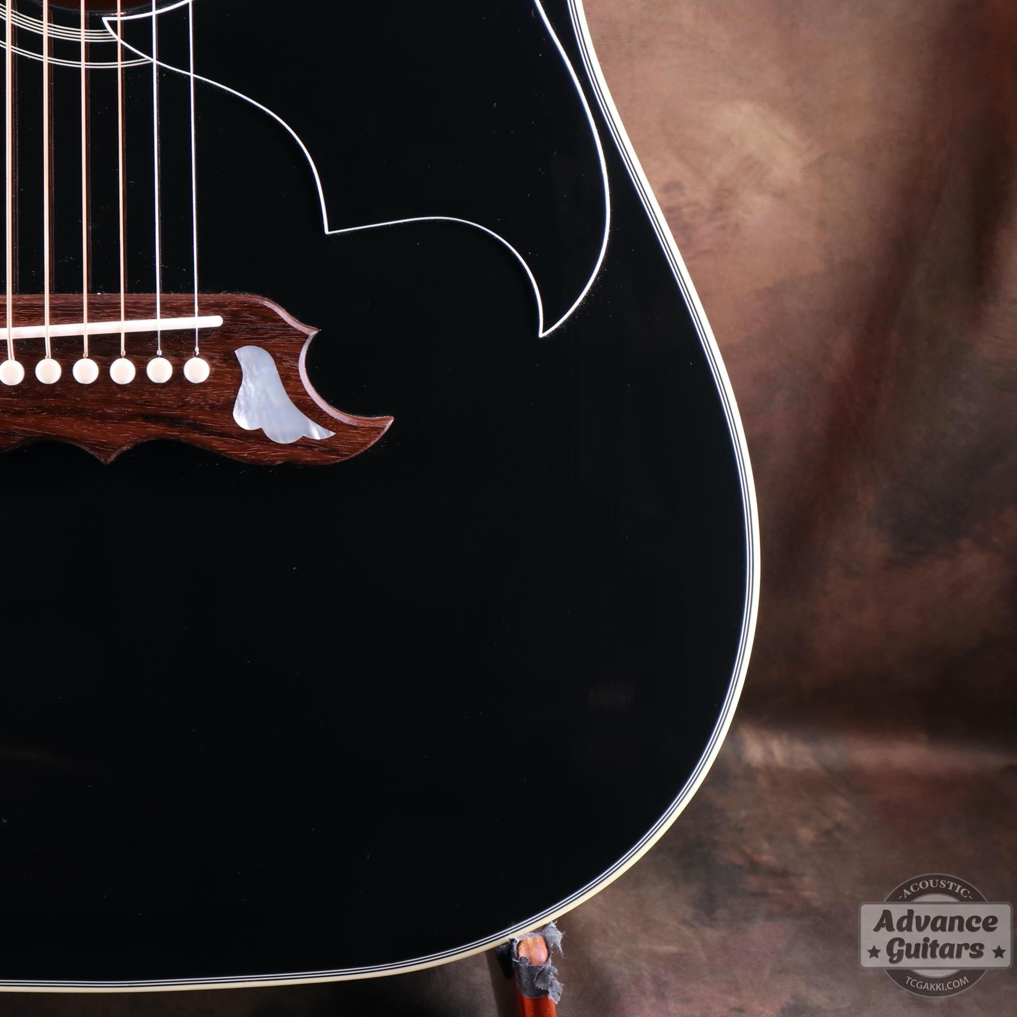 2022年製 DOVE ELVIS - TC楽器 - TCGAKKI