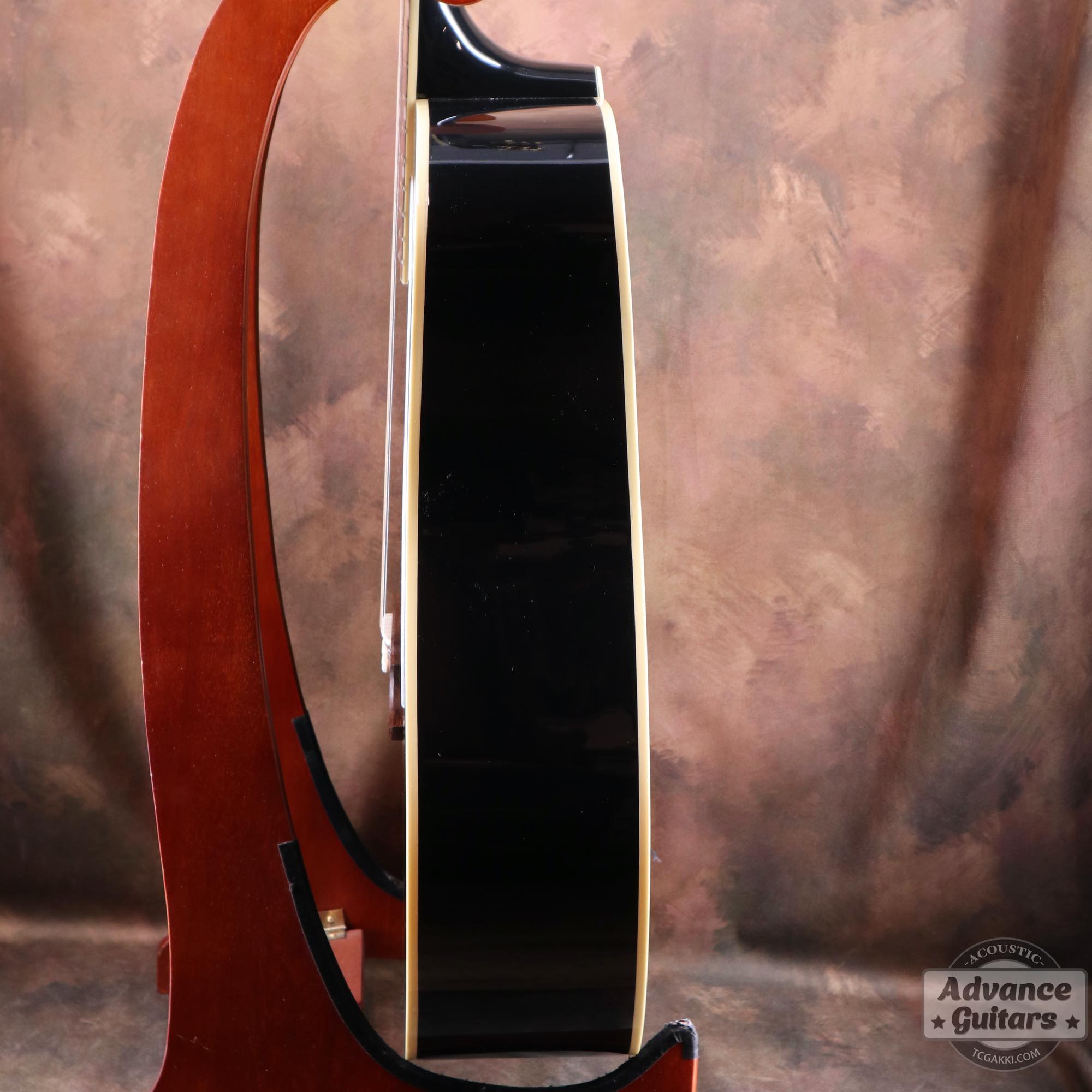 2022年製 DOVE ELVIS - TC楽器 - TCGAKKI