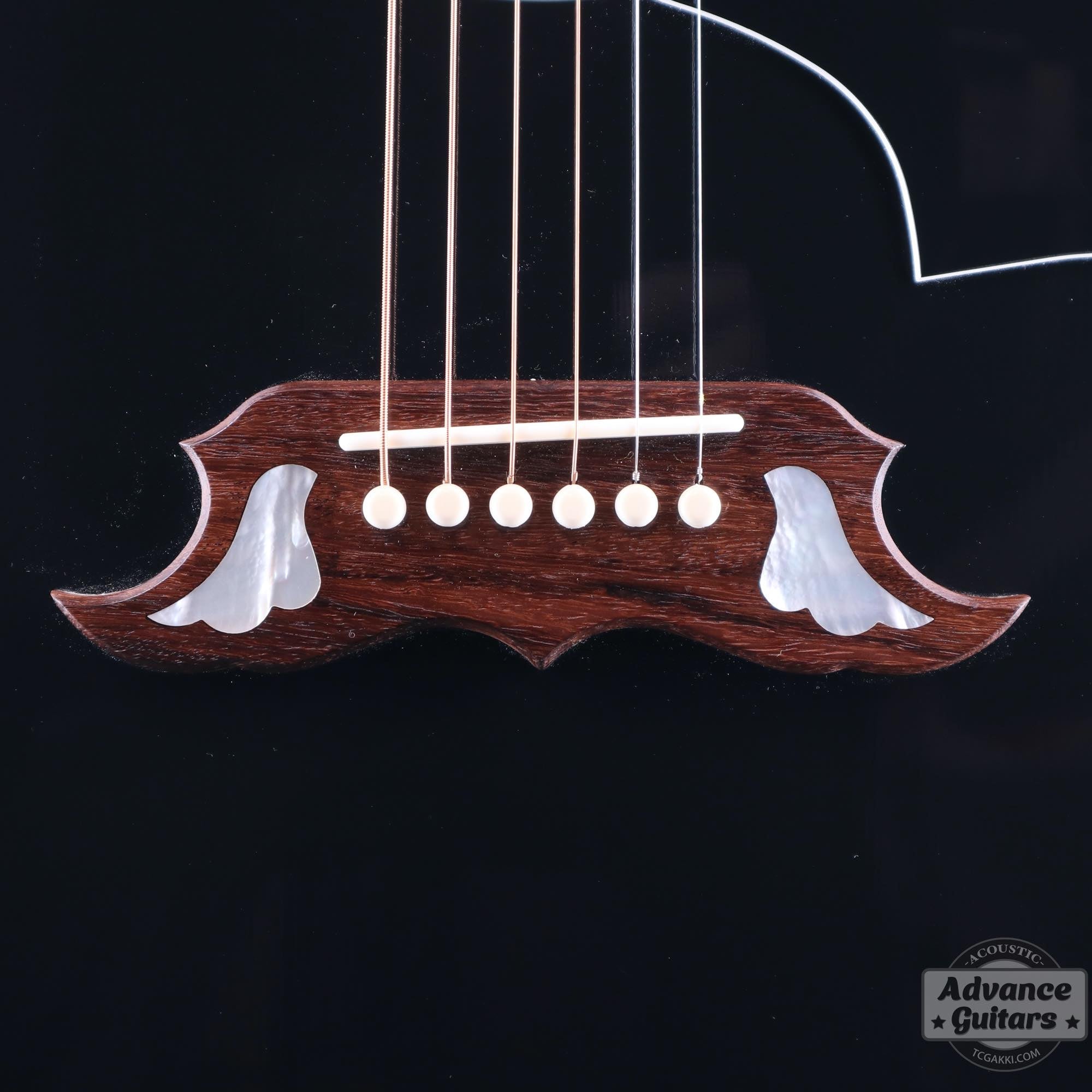 2022年製 DOVE ELVIS - TC楽器 - TCGAKKI