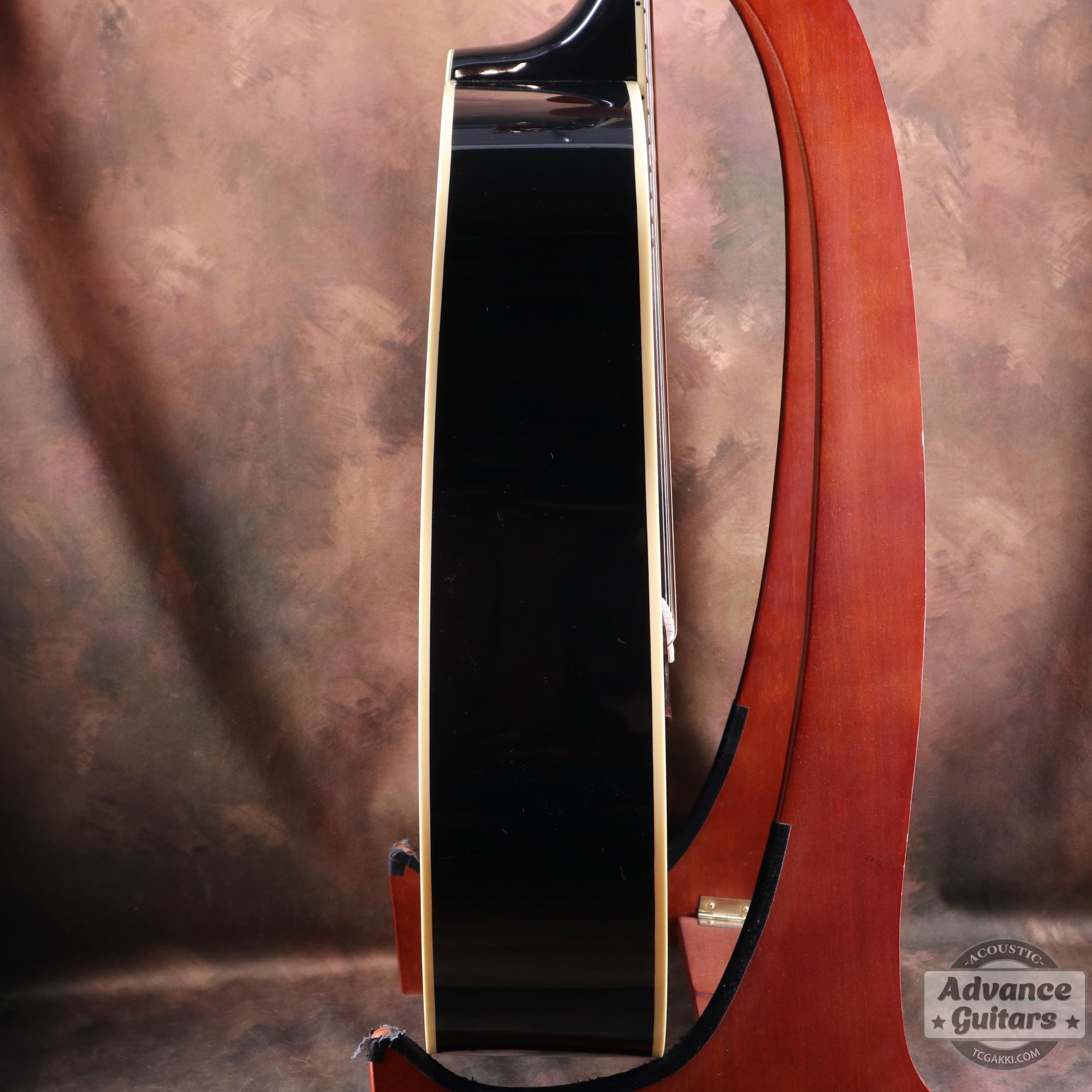 2022年製 DOVE ELVIS - TC楽器 - TCGAKKI