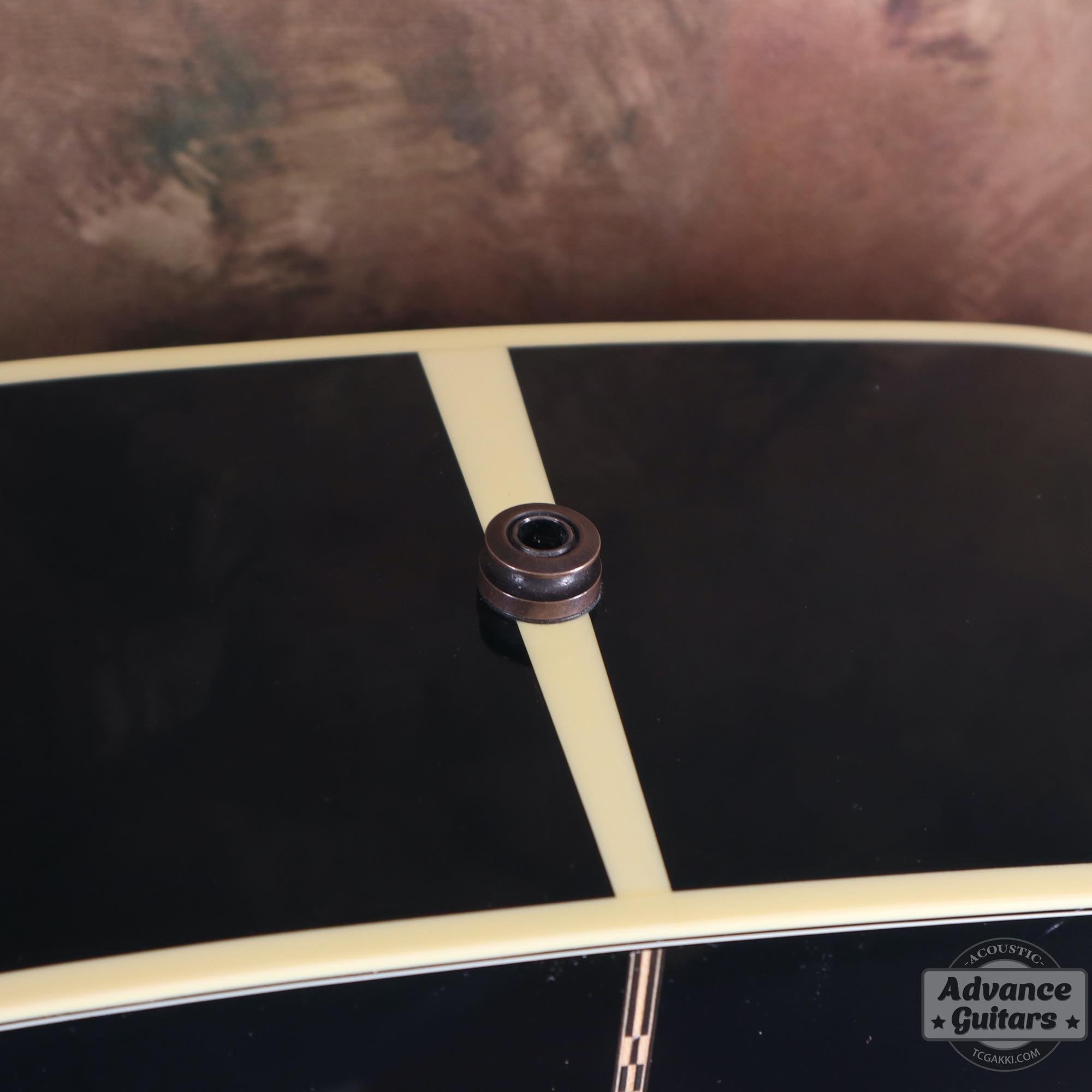 2022年製 DOVE ELVIS - TC楽器 - TCGAKKI