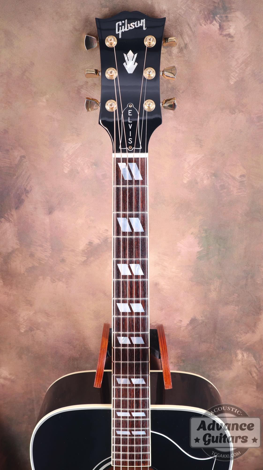 2022年製 DOVE ELVIS - TC楽器 - TCGAKKI