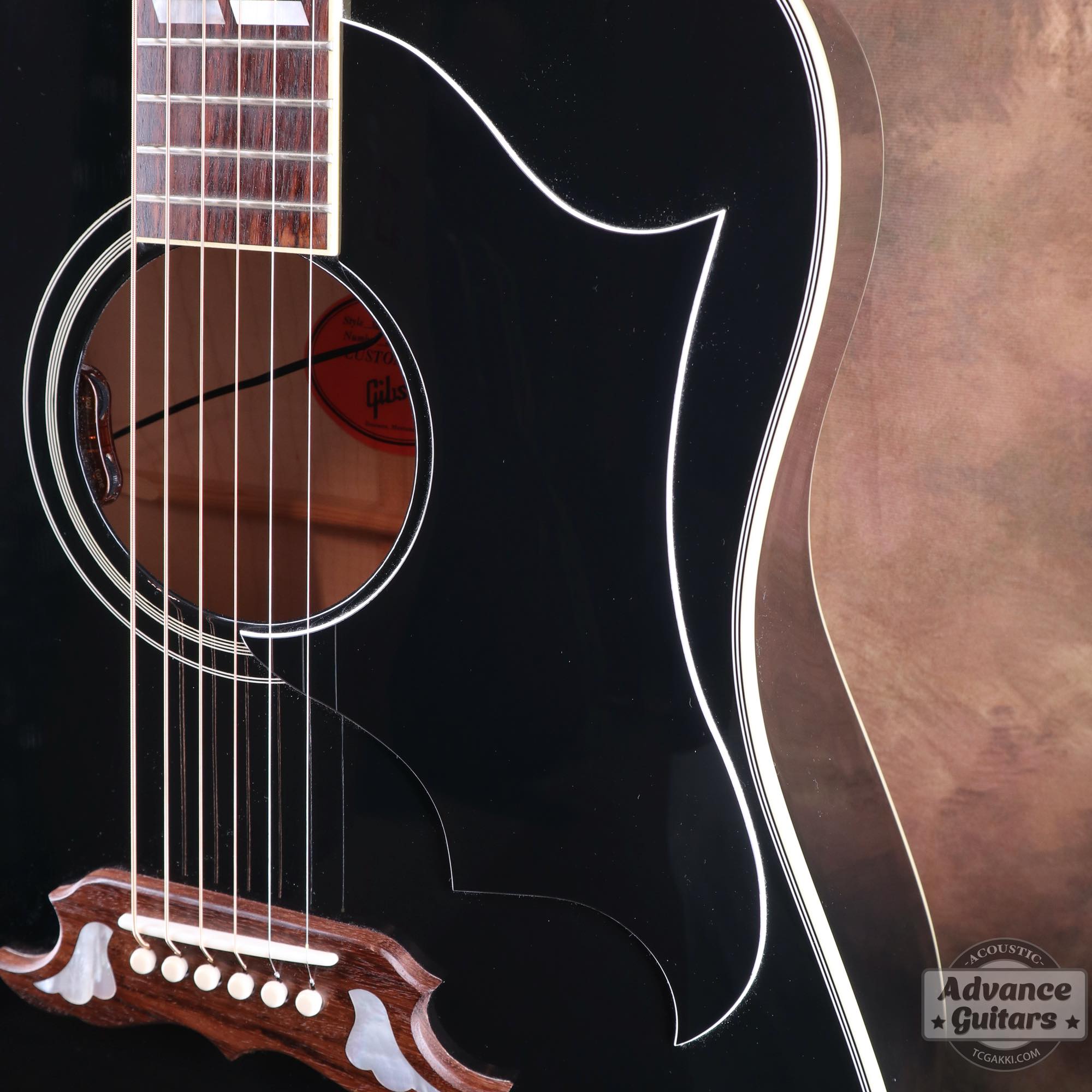 2022年製 DOVE ELVIS - TC楽器 - TCGAKKI