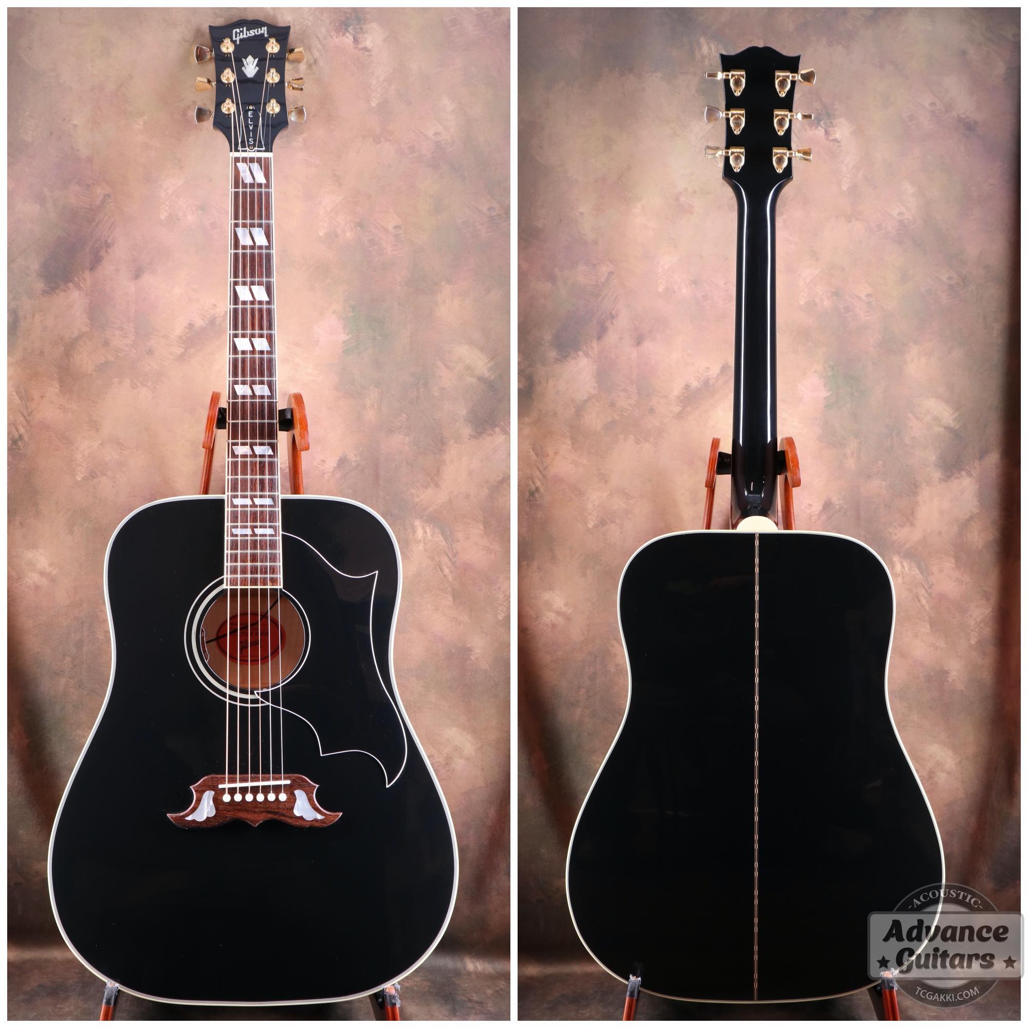 2022年製 DOVE ELVIS - TC楽器 - TCGAKKI