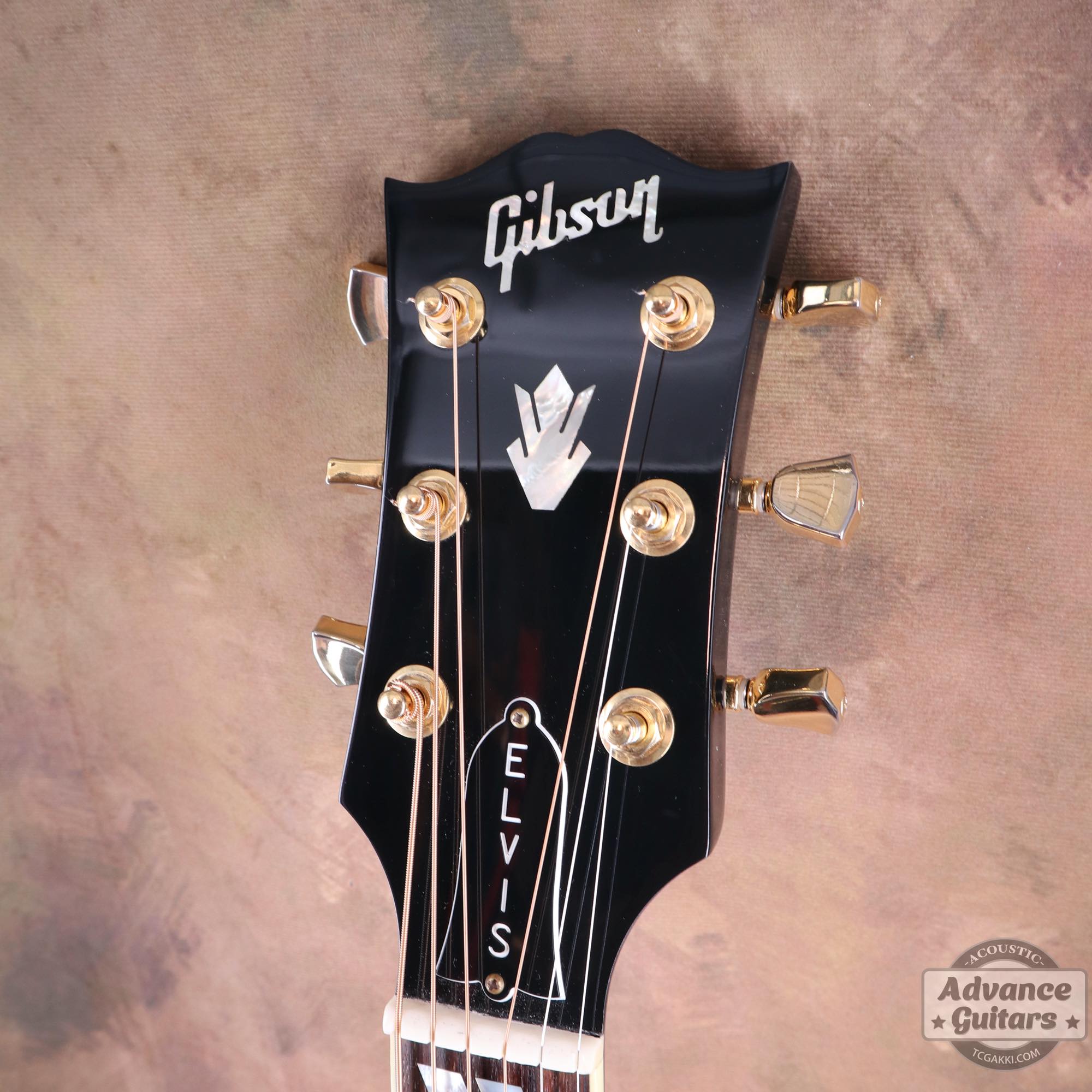 2022年製 DOVE ELVIS - TC楽器 - TCGAKKI