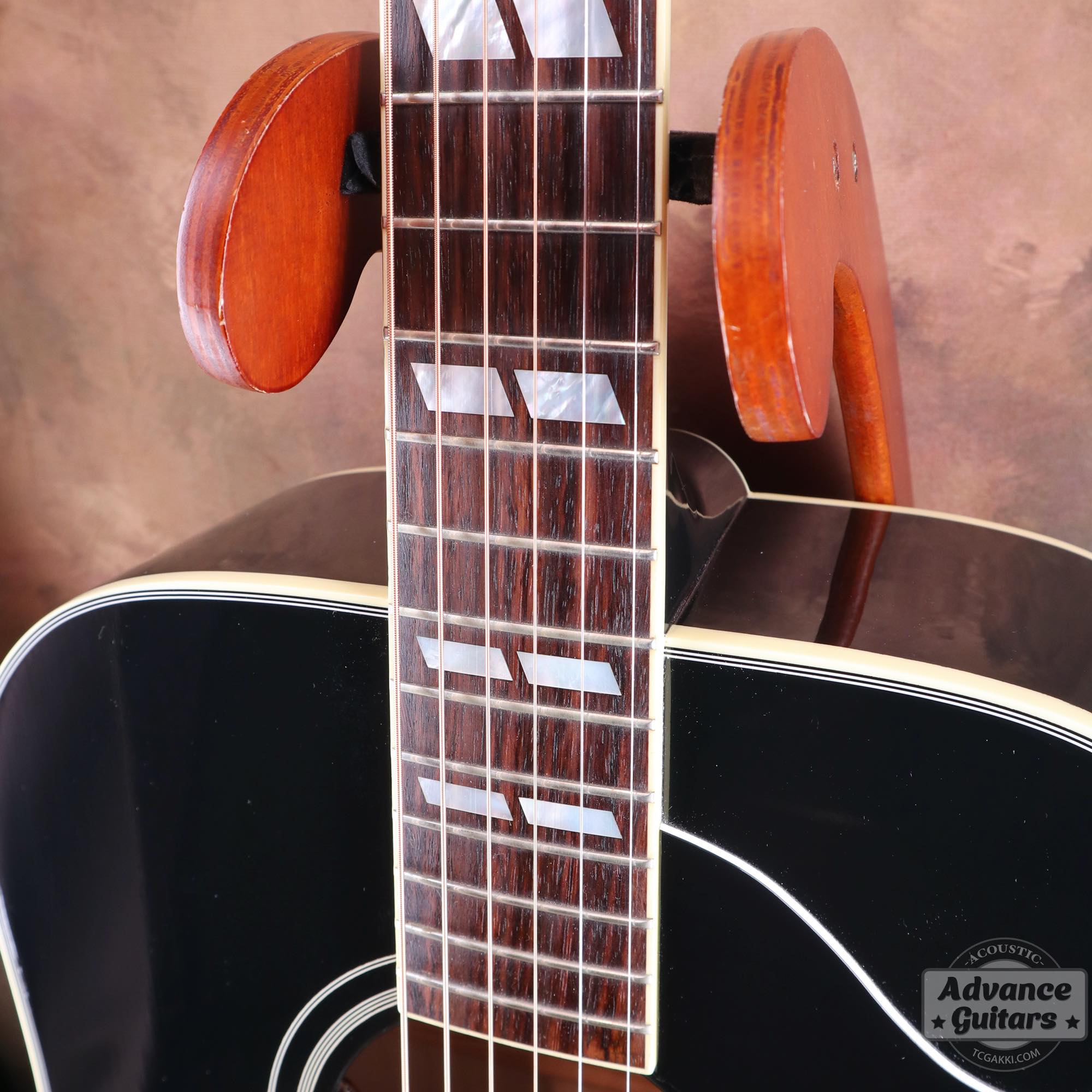 2022年製 DOVE ELVIS - TC楽器 - TCGAKKI