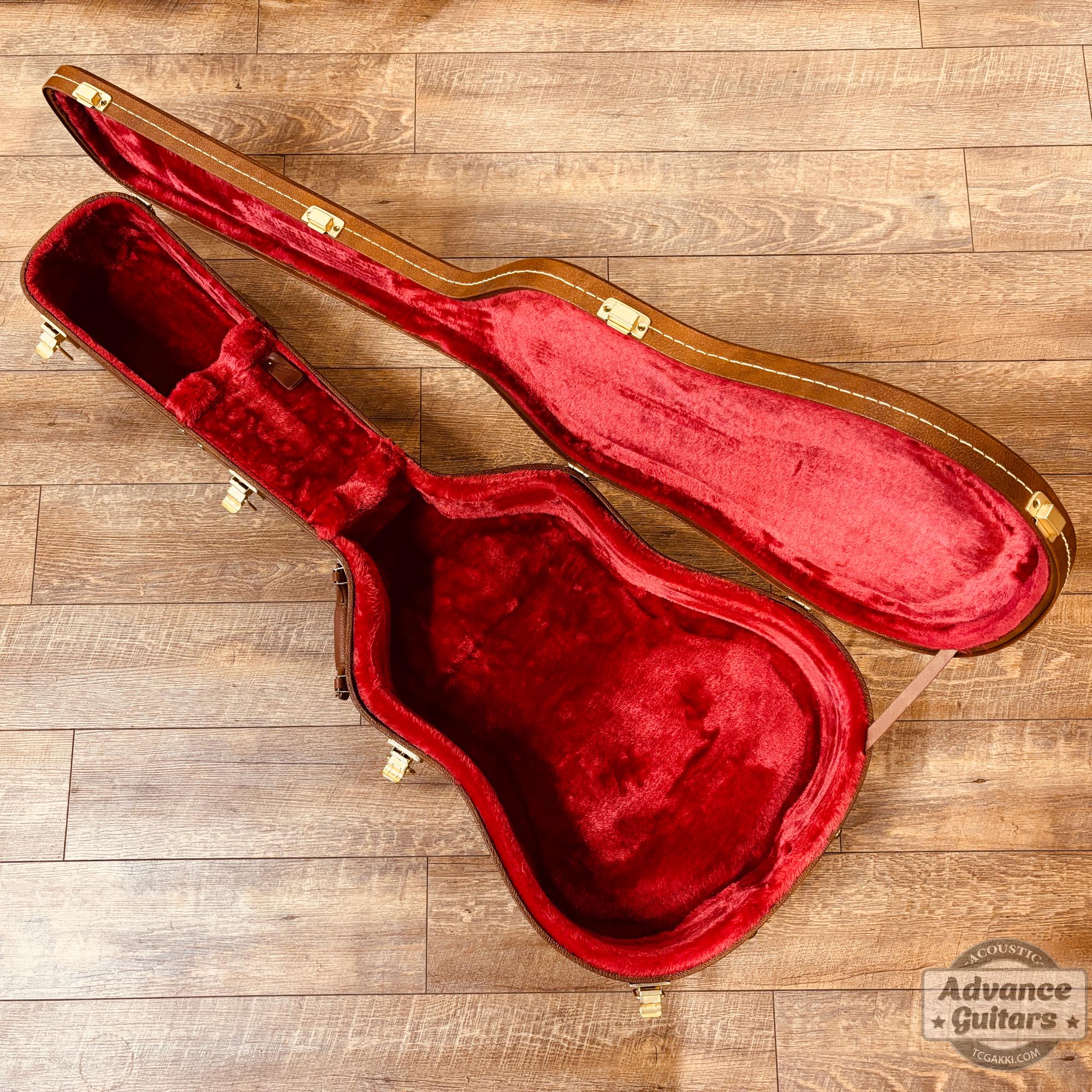 2022年製 DOVE ELVIS - TC楽器 - TCGAKKI