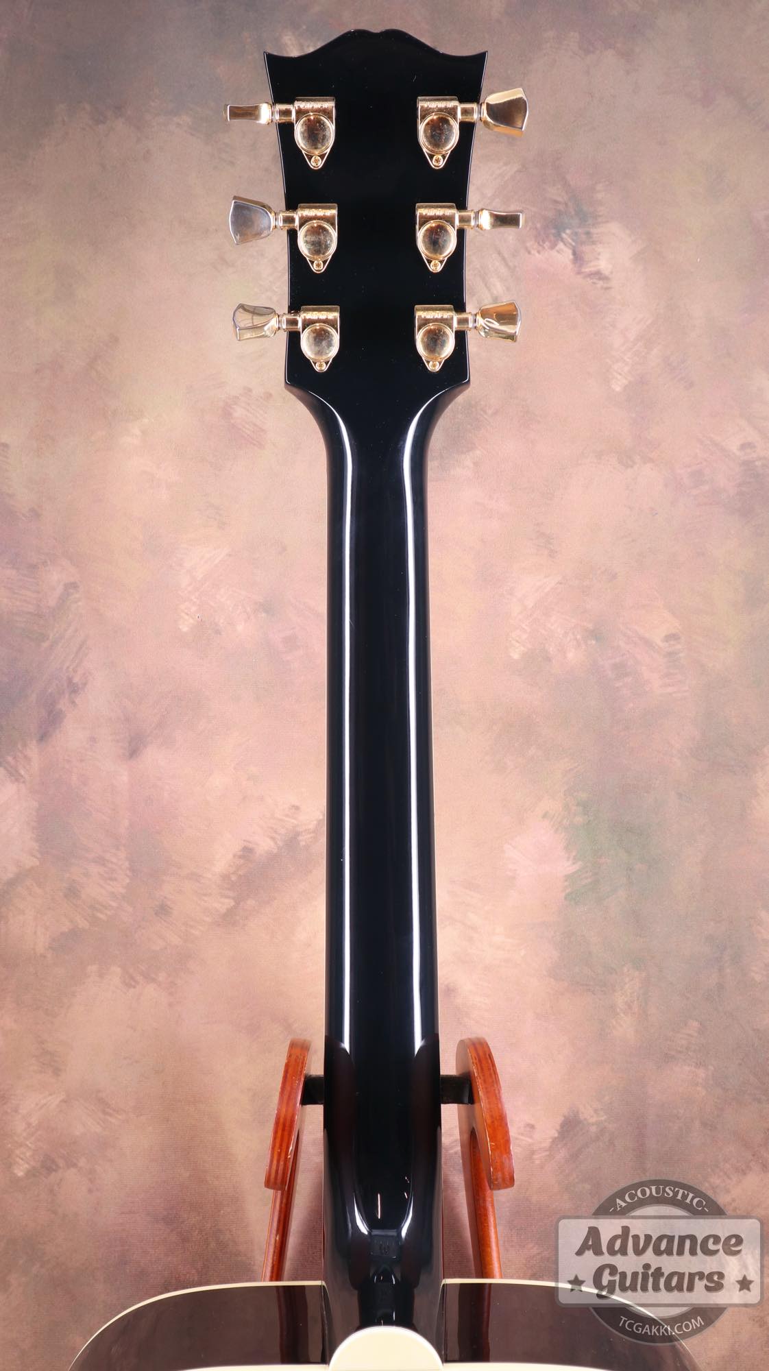 2022年製 DOVE ELVIS - TC楽器 - TCGAKKI