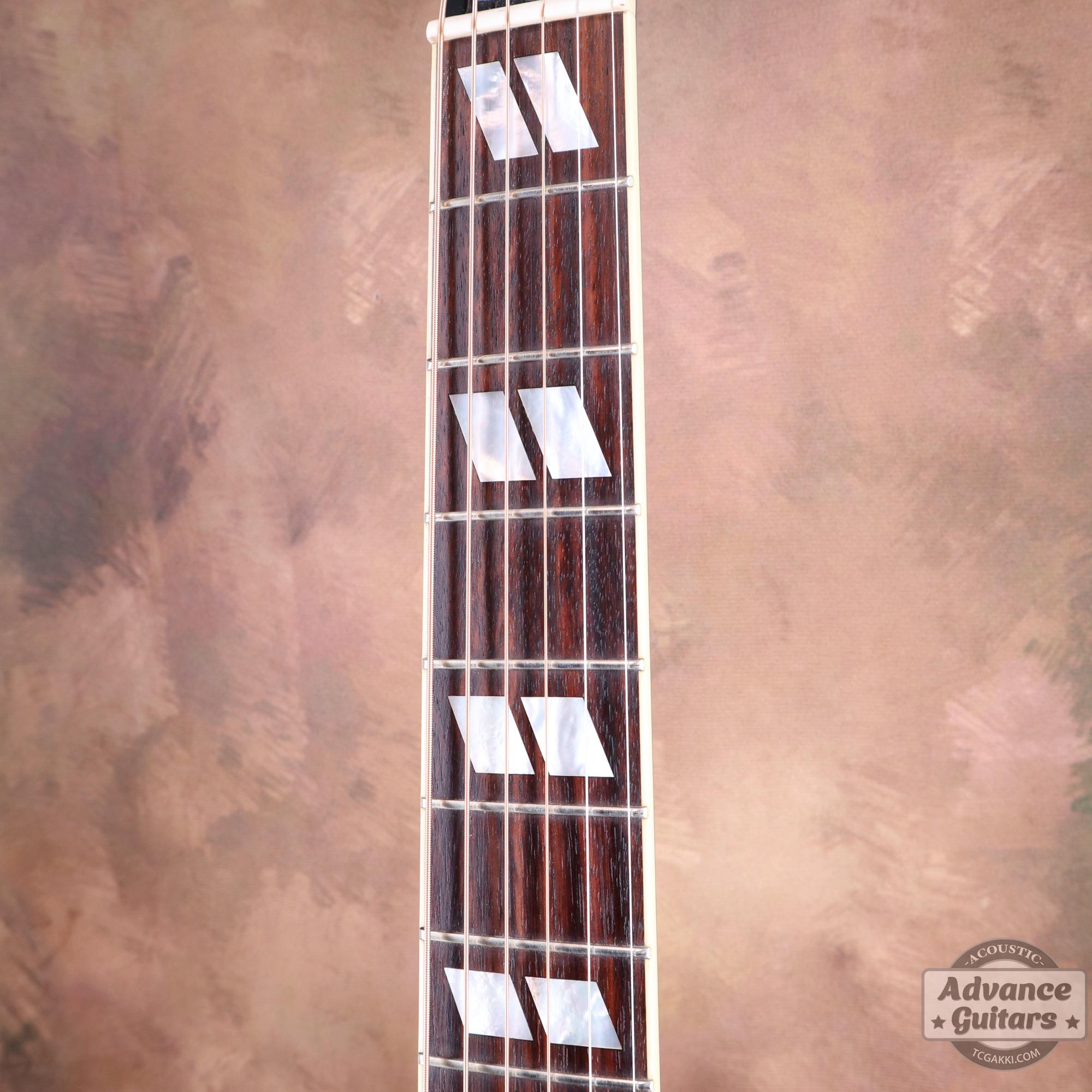 2022年製 DOVE ELVIS - TC楽器 - TCGAKKI