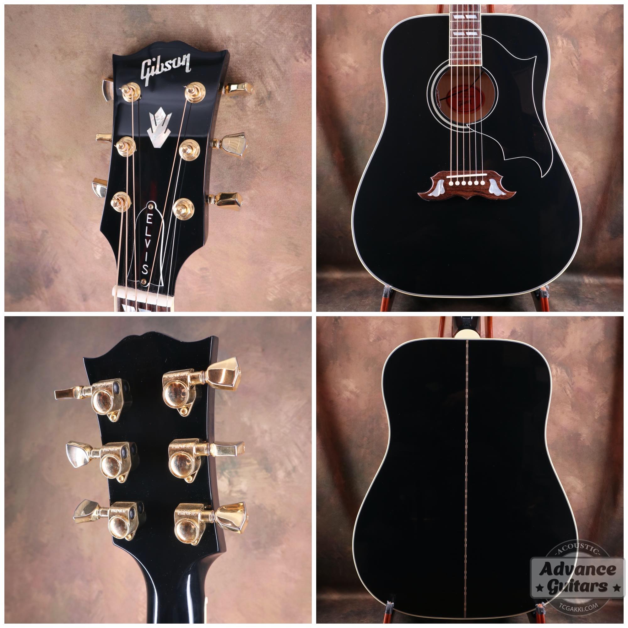 2022年製 DOVE ELVIS - TC楽器 - TCGAKKI