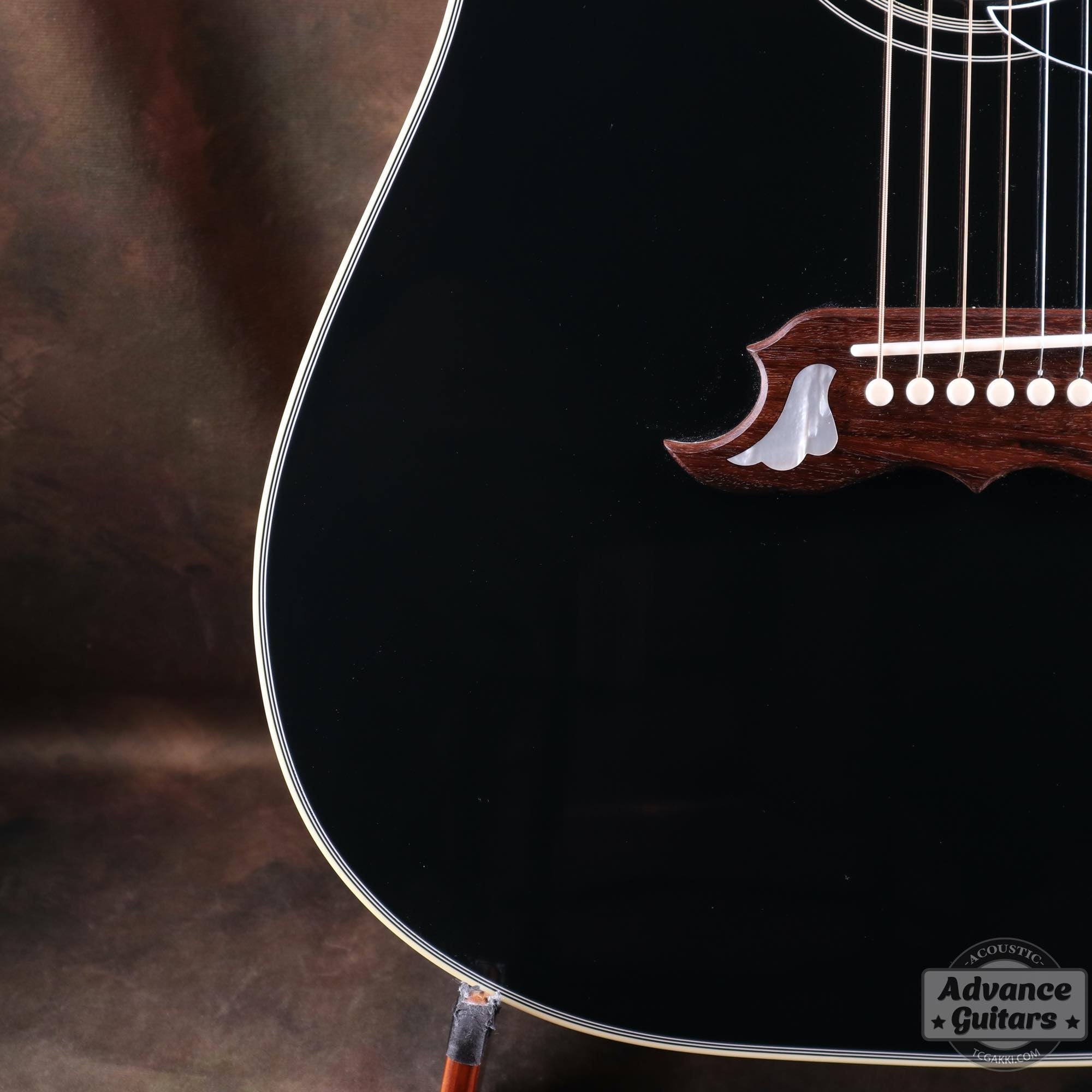 2022年製 DOVE ELVIS - TC楽器 - TCGAKKI