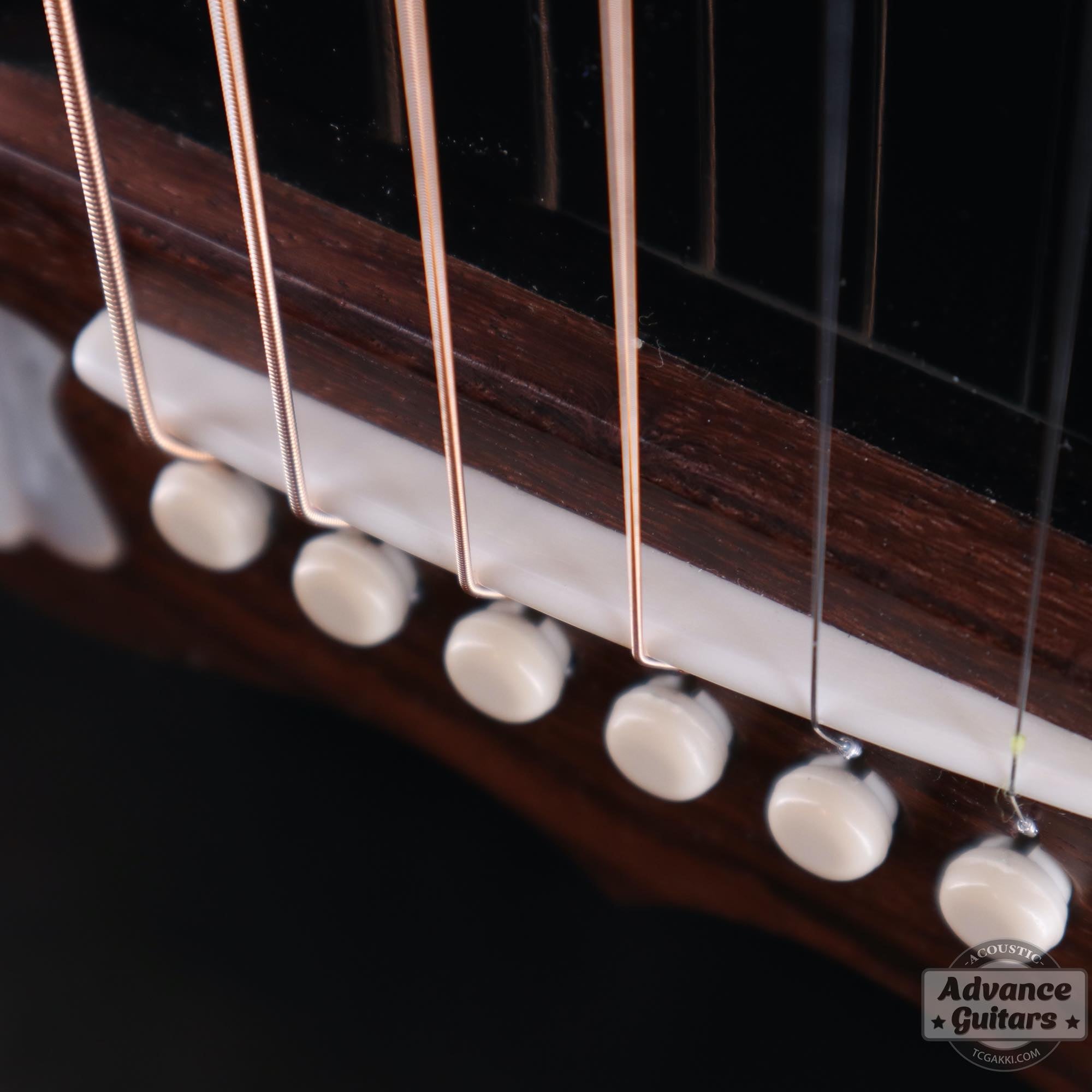 2022年製 DOVE ELVIS - TC楽器 - TCGAKKI