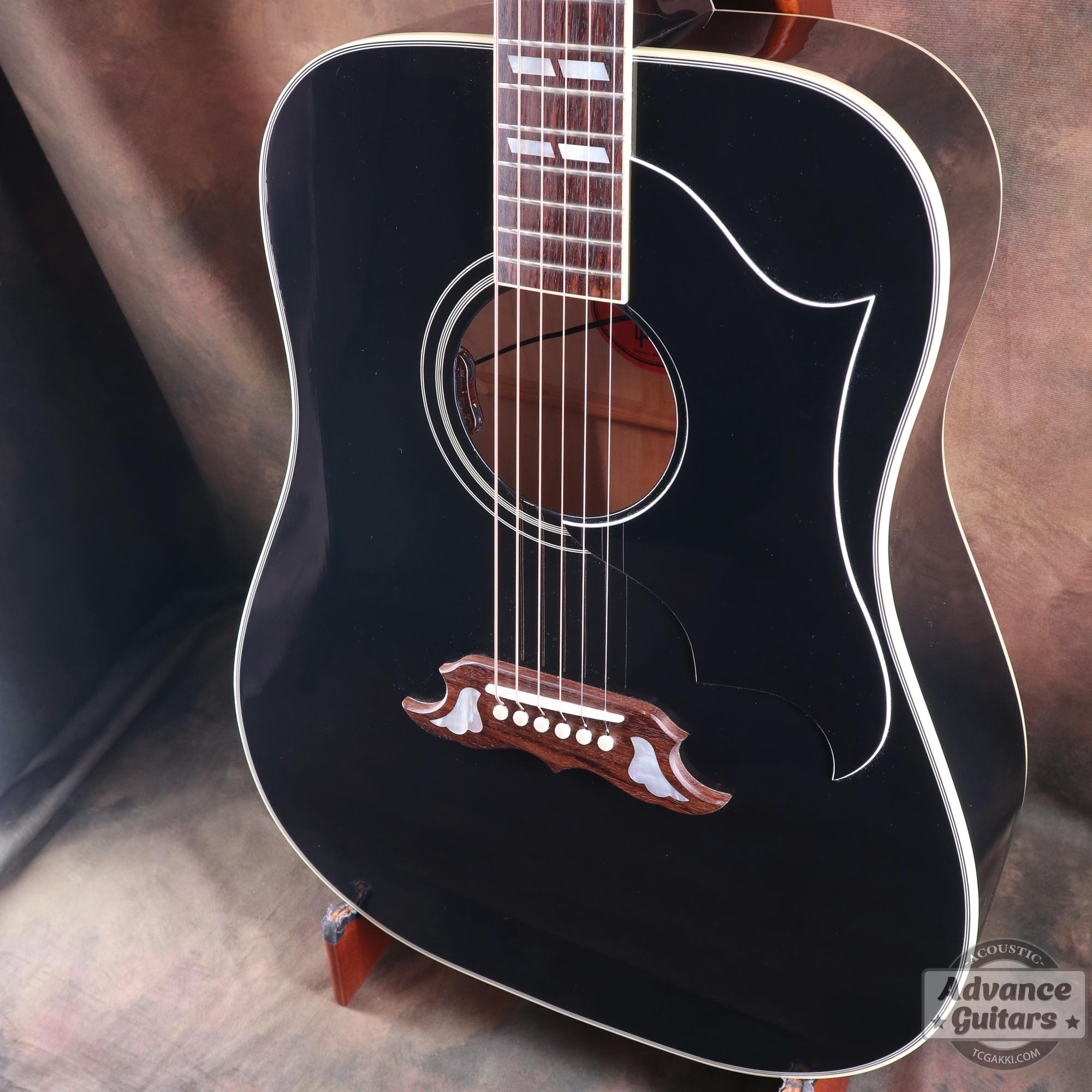 2022年製 DOVE ELVIS - TC楽器 - TCGAKKI