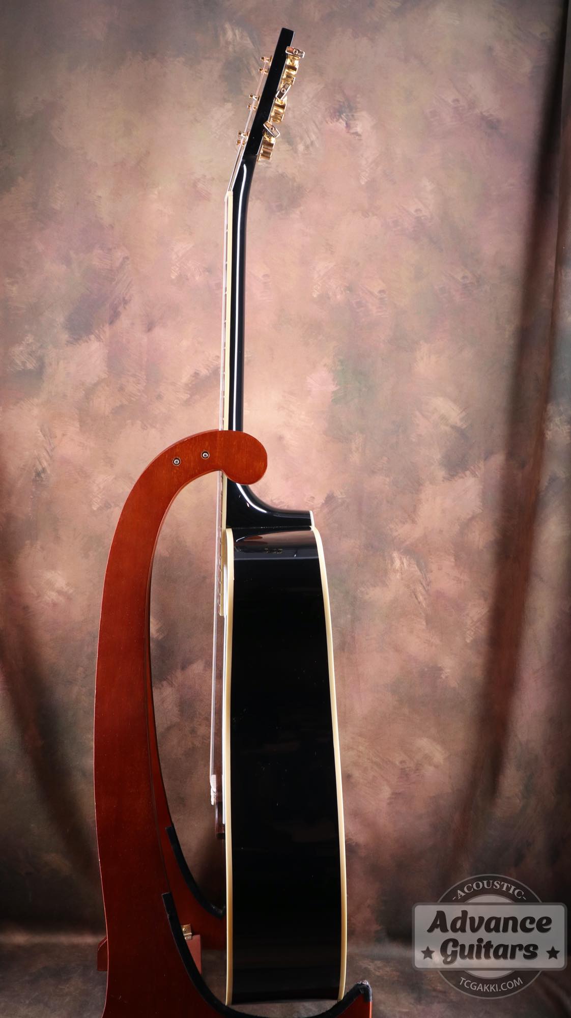 2022年製 DOVE ELVIS - TC楽器 - TCGAKKI