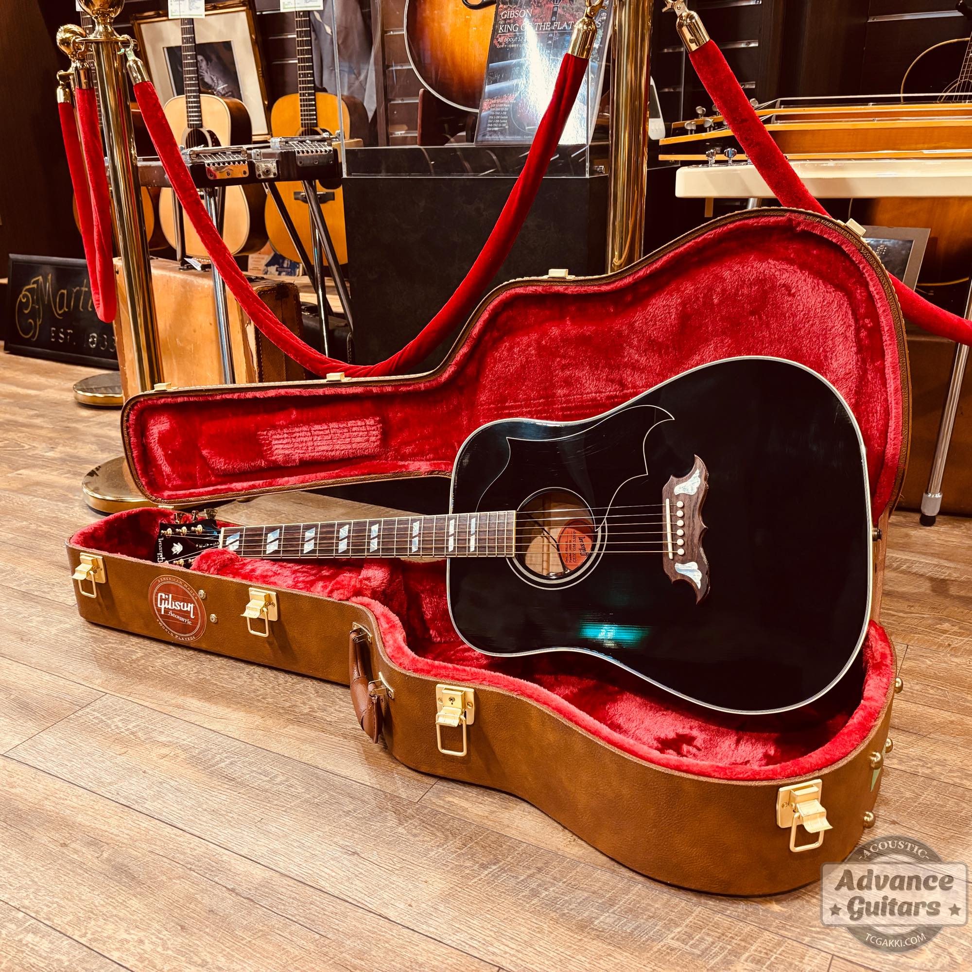 2022年製 DOVE ELVIS - TC楽器 - TCGAKKI