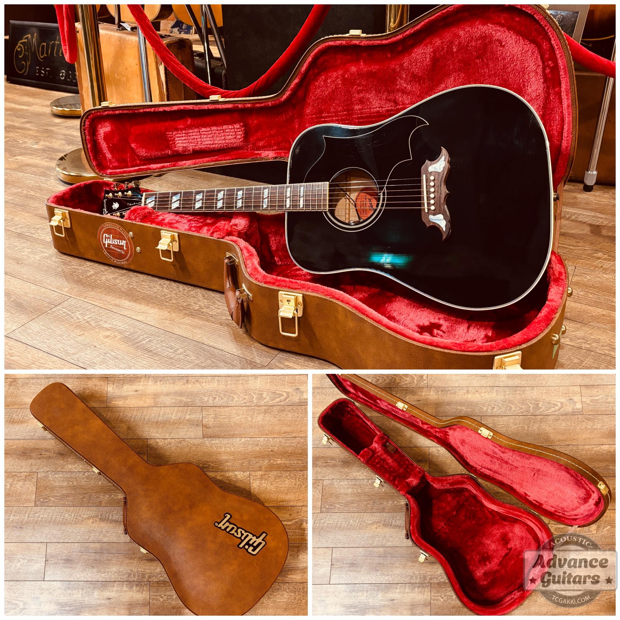 2022年製 DOVE ELVIS - TC楽器 - TCGAKKI