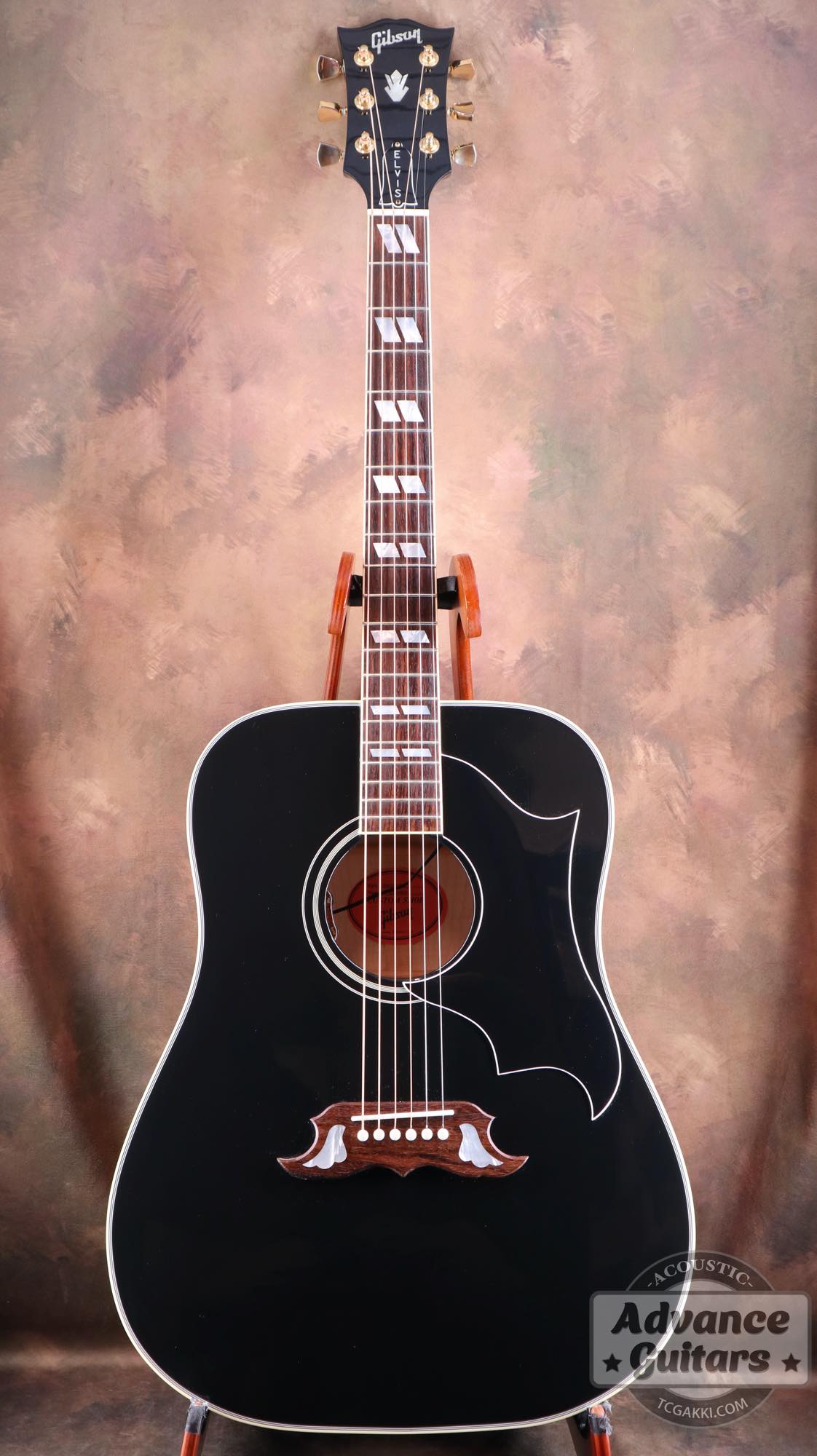 2022年製 DOVE ELVIS - TC楽器 - TCGAKKI