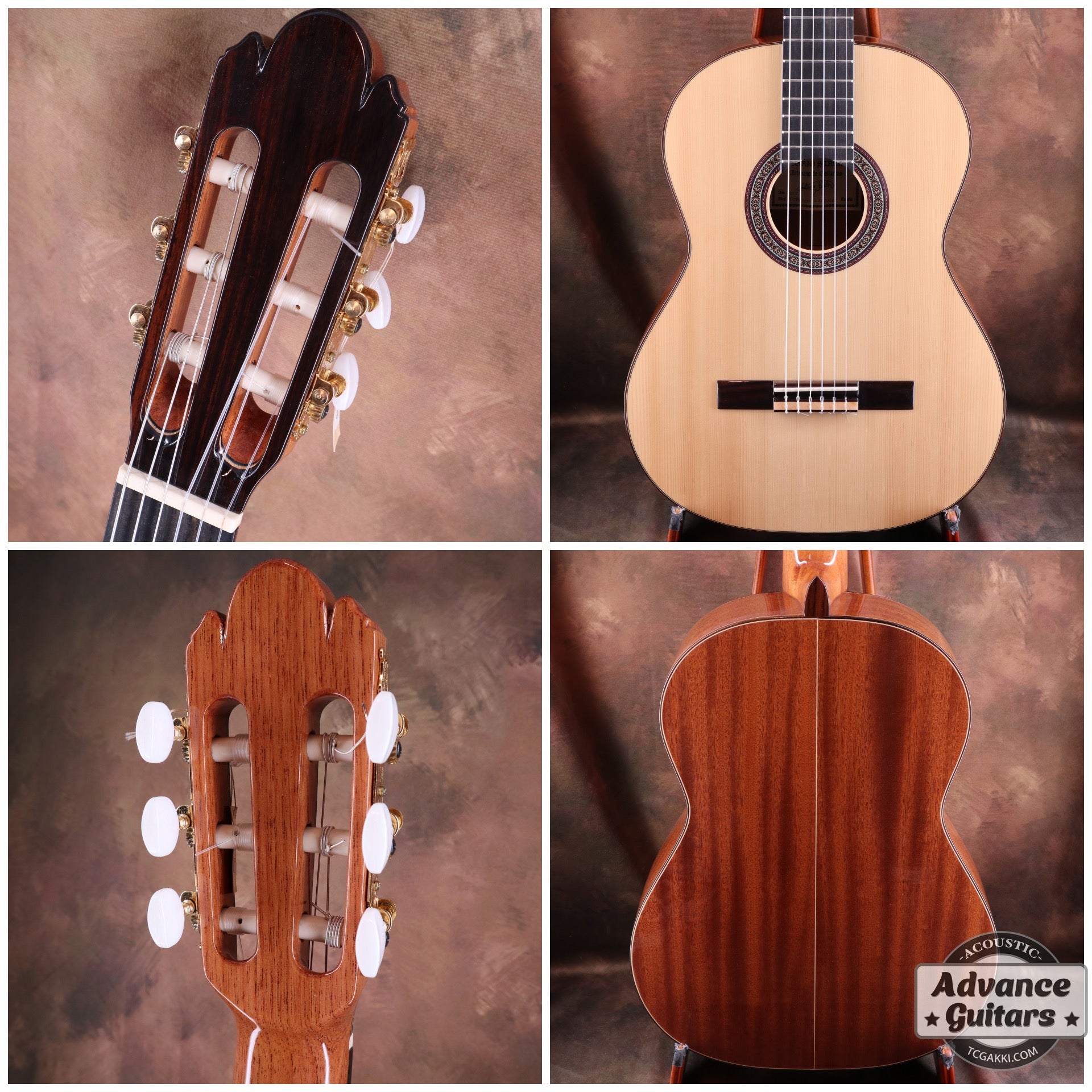 2022年製 Profesor 3 Spruce - TC楽器 - TCGAKKI