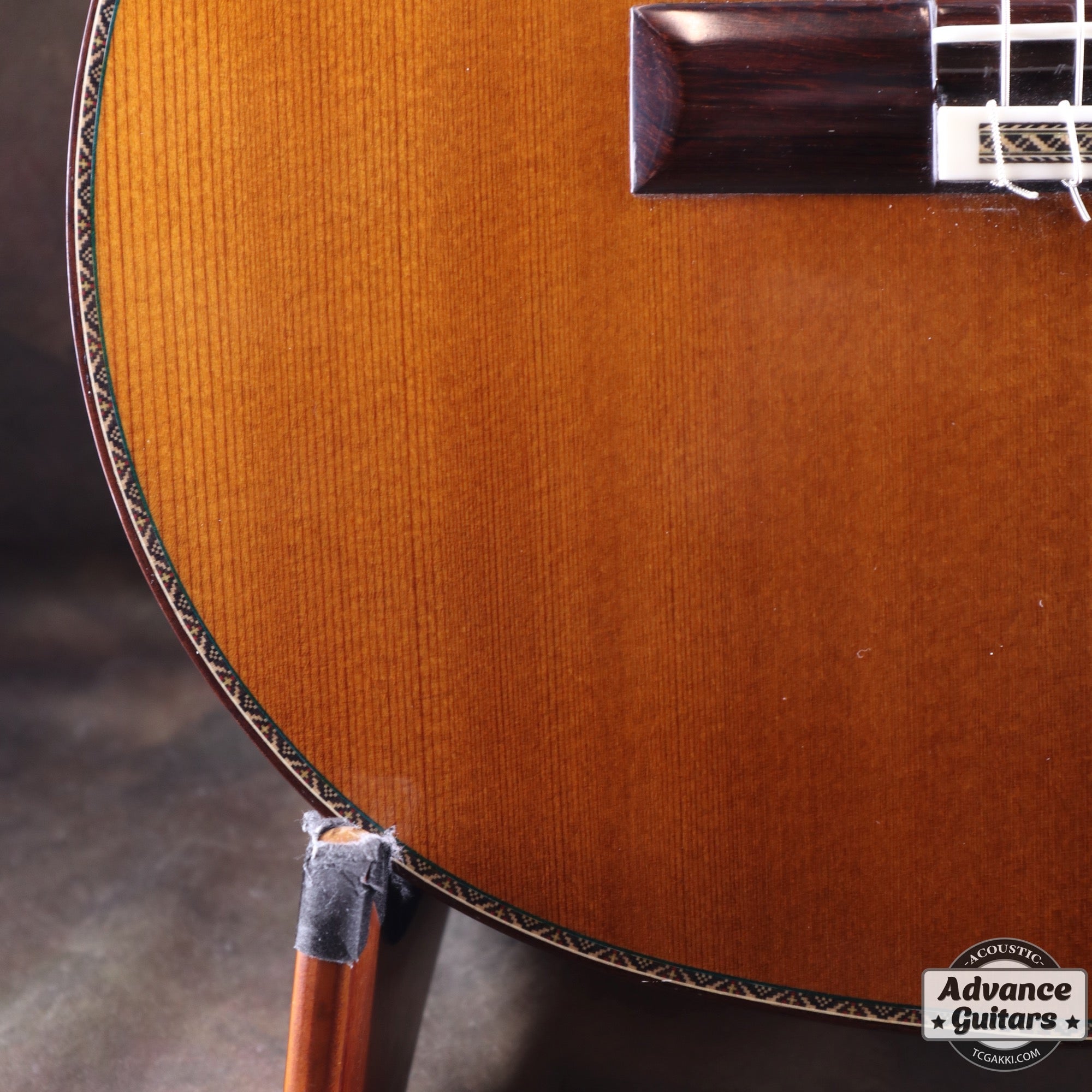 2022年製 SP - TC楽器 - TCGAKKI