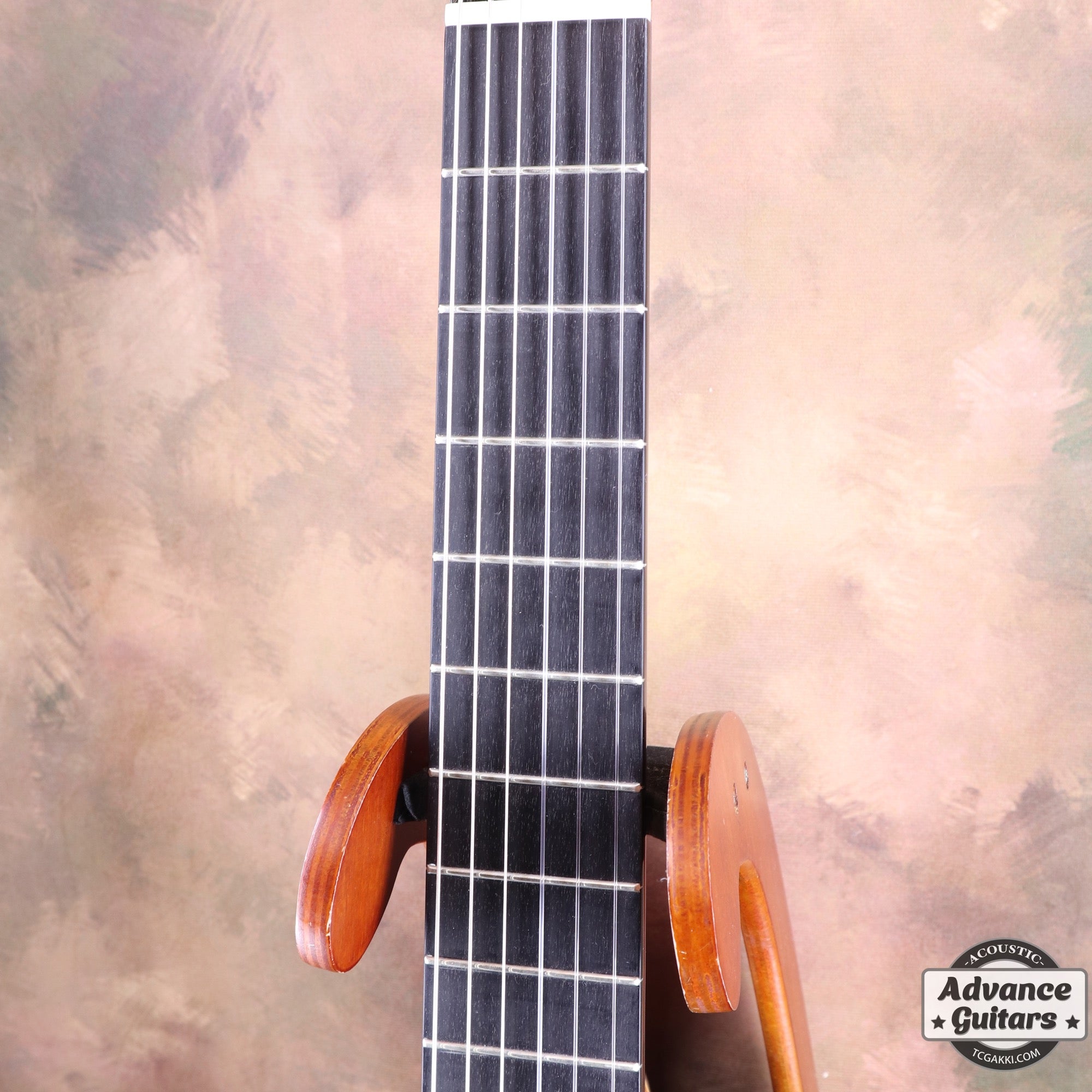 2022年製 SP - TC楽器 - TCGAKKI