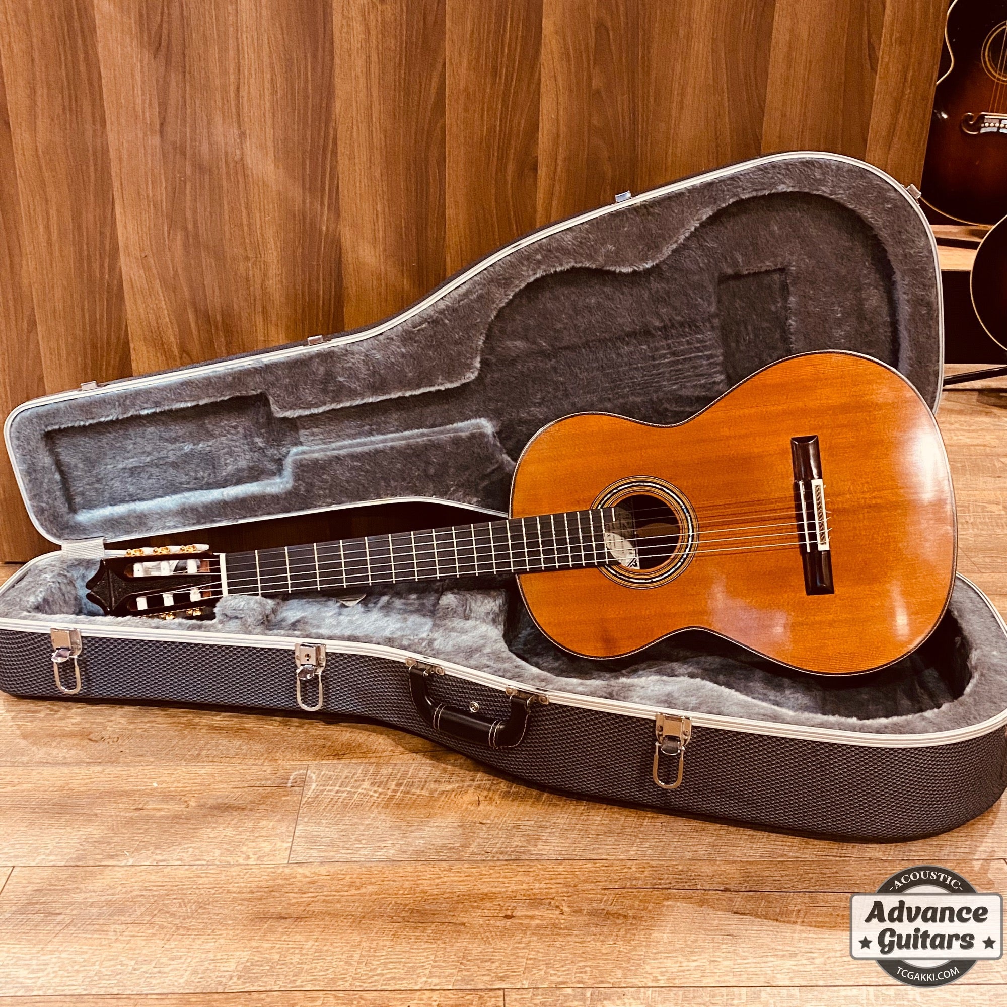 2022年製 SP - TC楽器 - TCGAKKI