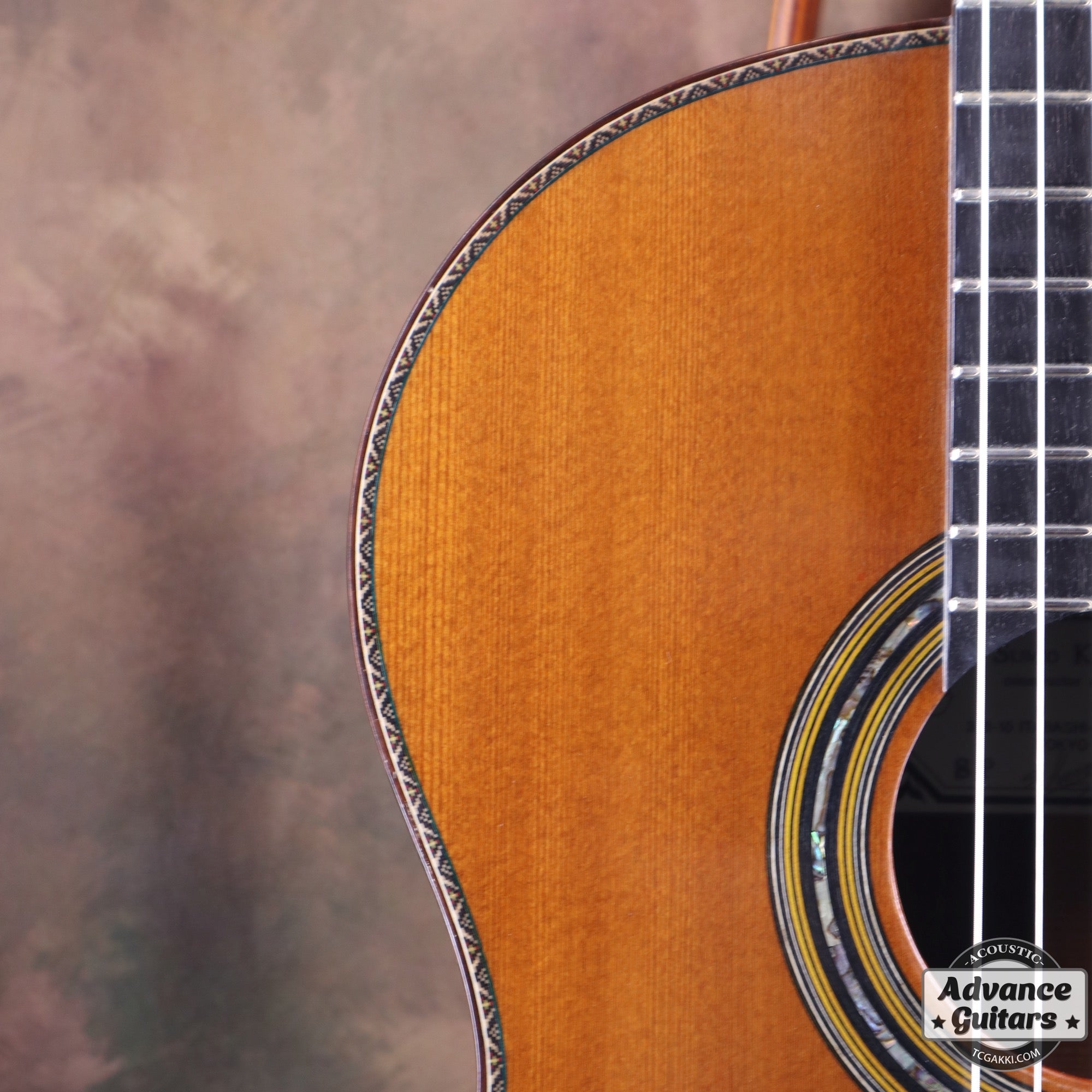 2022年製 SP - TC楽器 - TCGAKKI