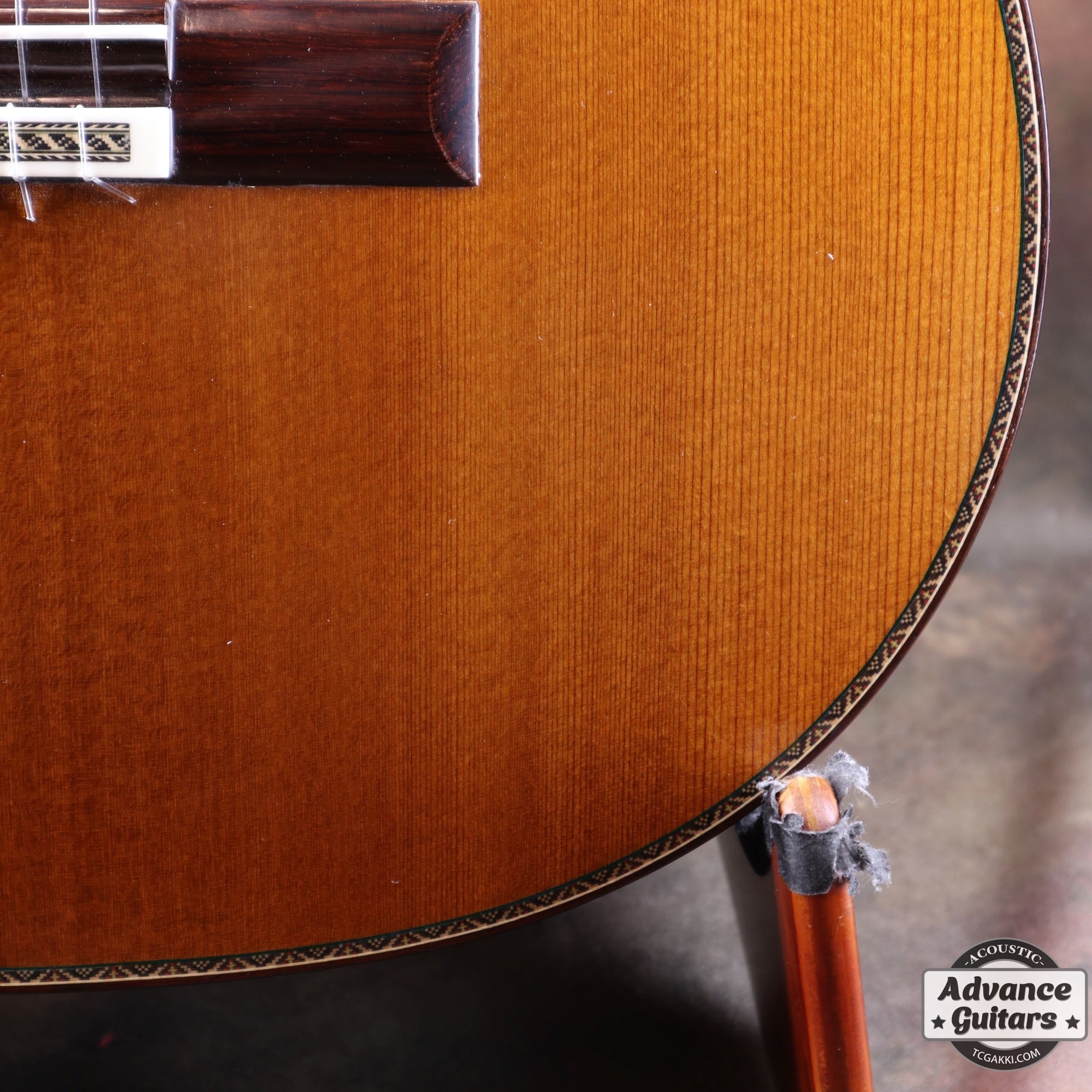 2022年製 SP - TC楽器 - TCGAKKI