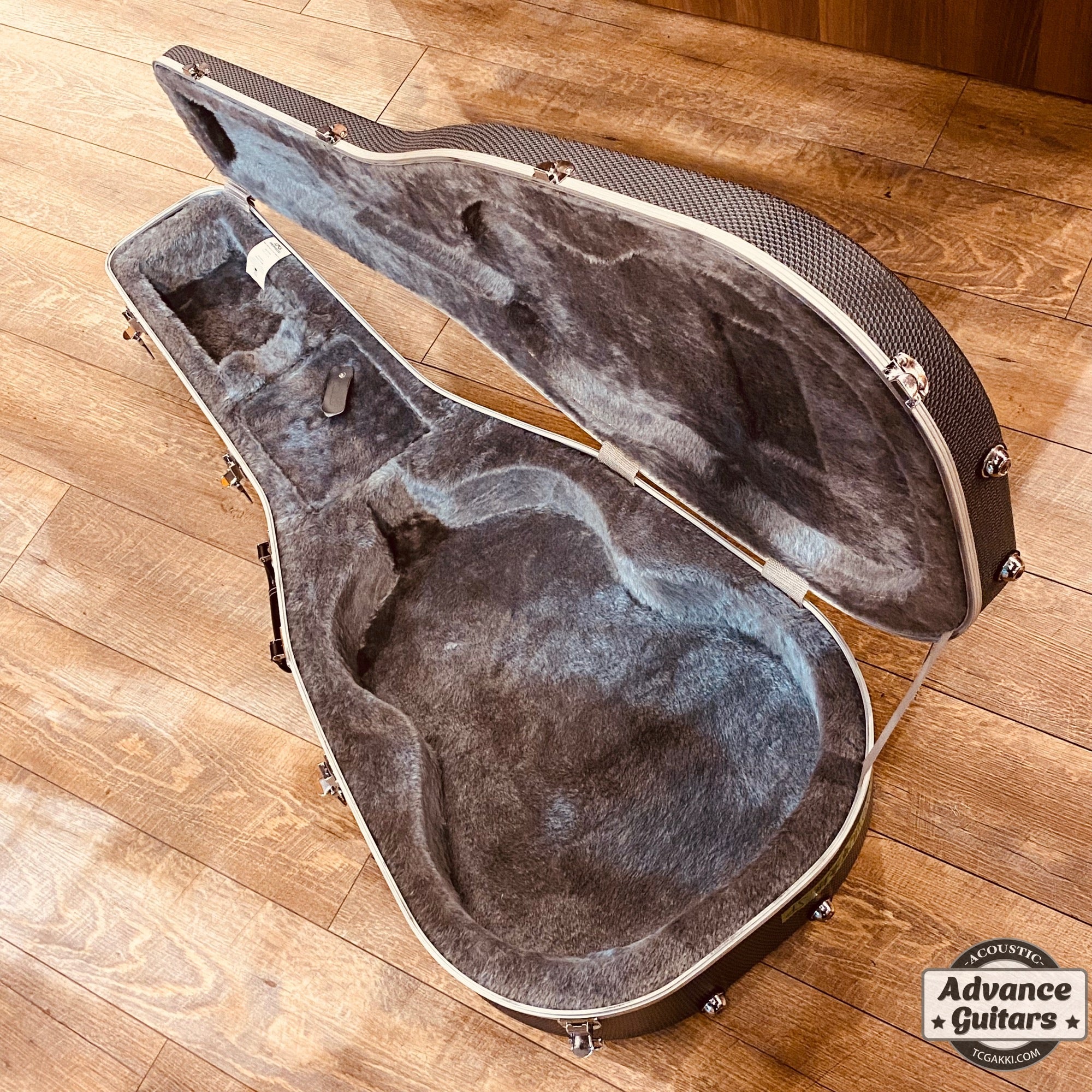 2022年製 SP - TC楽器 - TCGAKKI