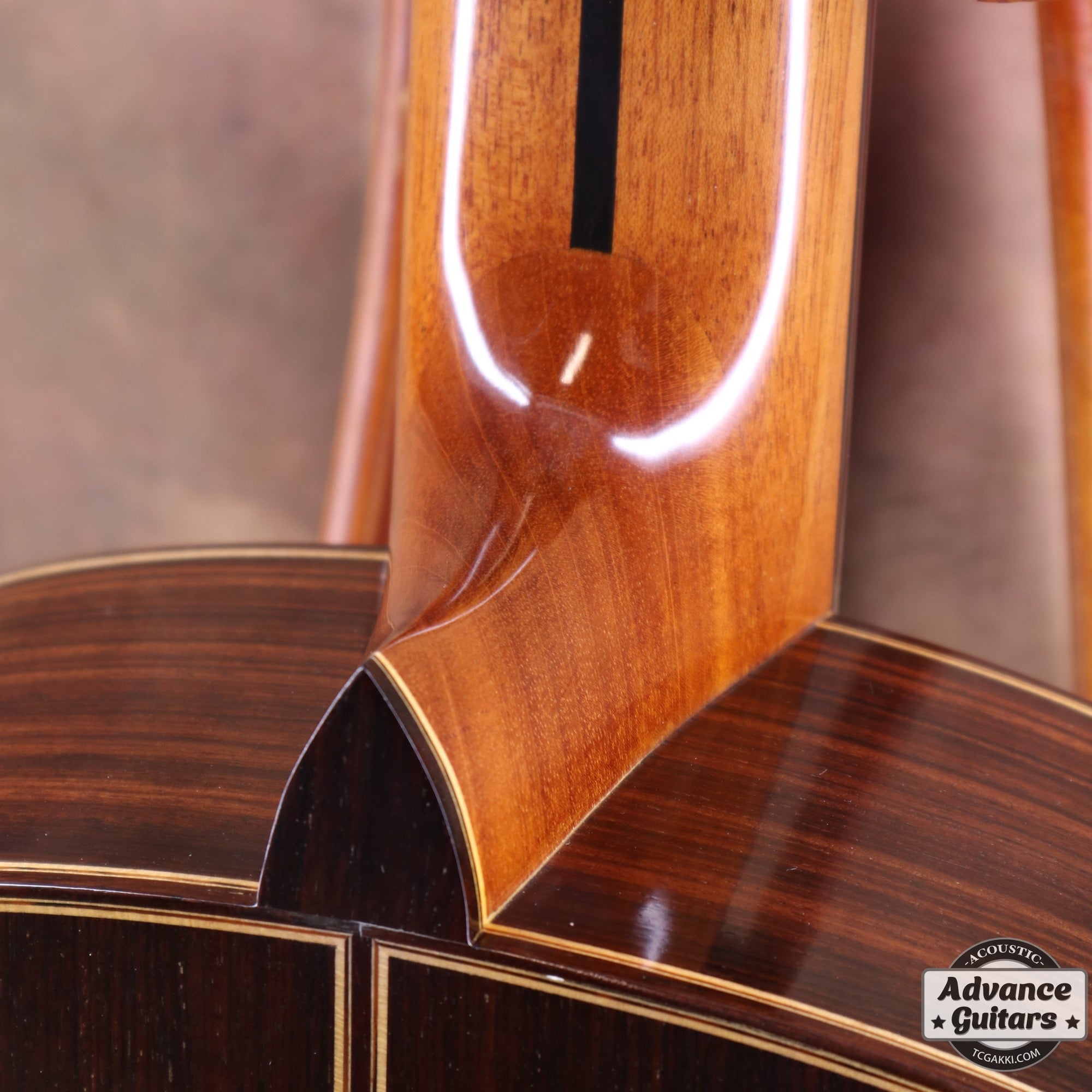 2022年製 SP - TC楽器 - TCGAKKI