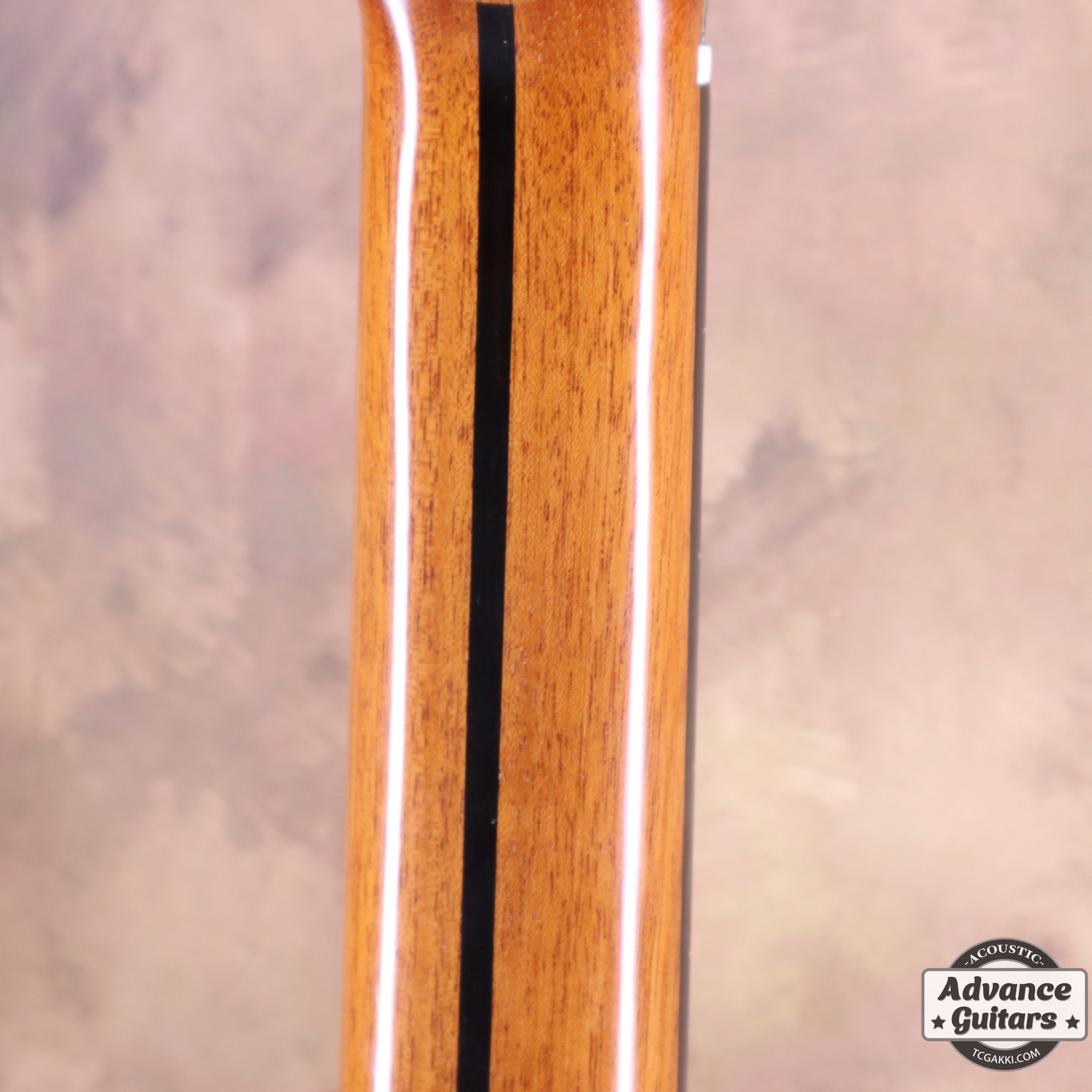 2022年製 SP - TC楽器 - TCGAKKI