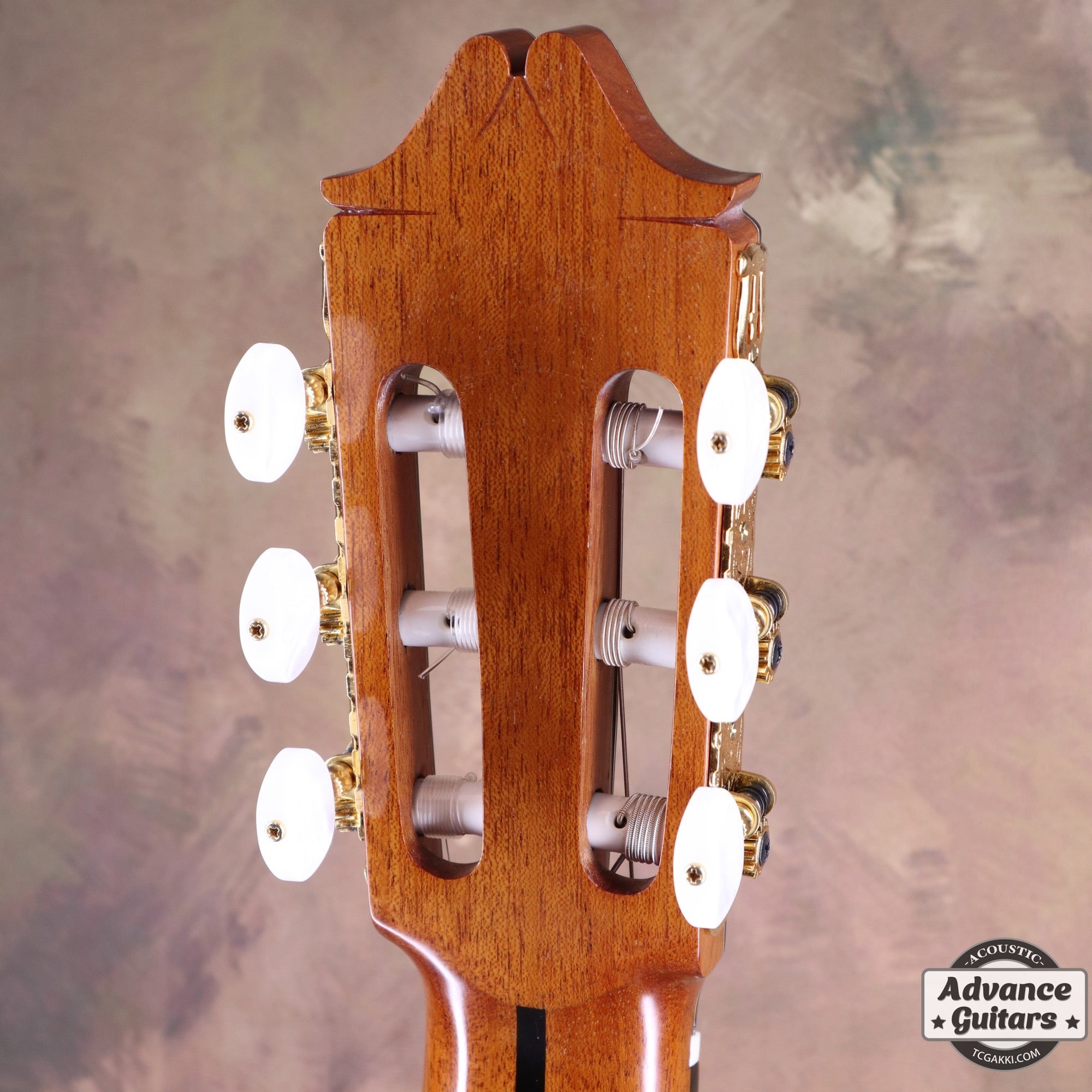 2022年製 SP - TC楽器 - TCGAKKI