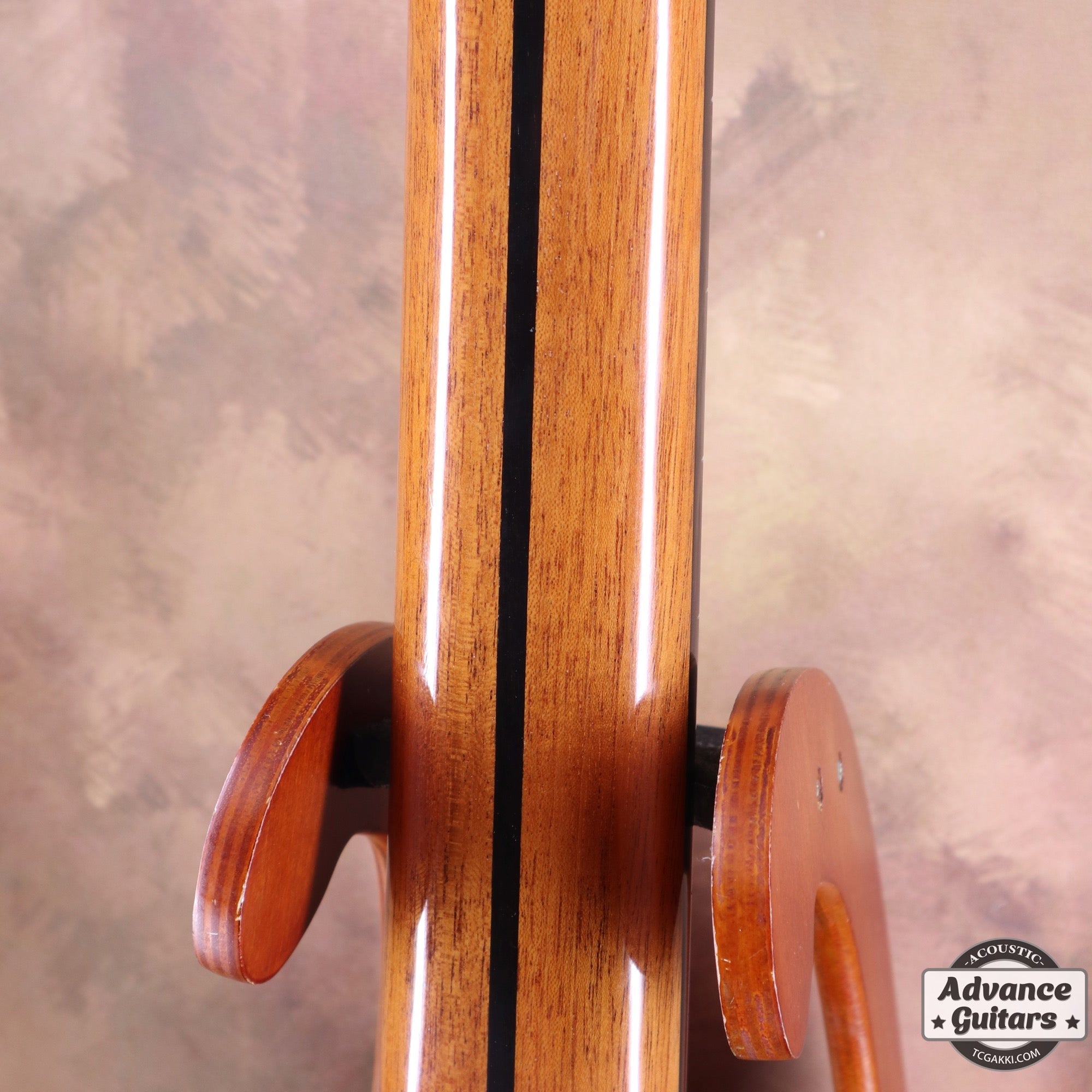 2022年製 SP - TC楽器 - TCGAKKI