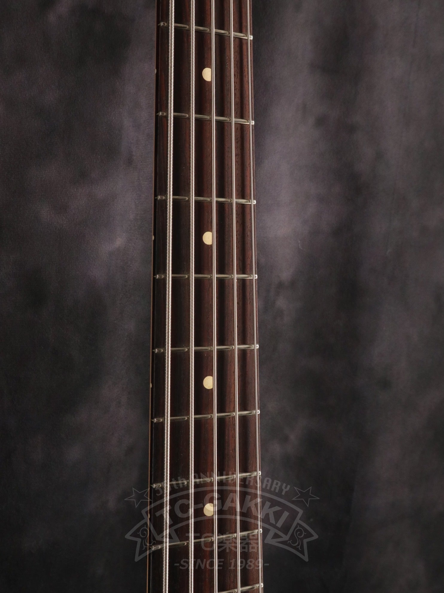 2023 JAY - BEE60 5st - TC楽器 - TCGAKKI