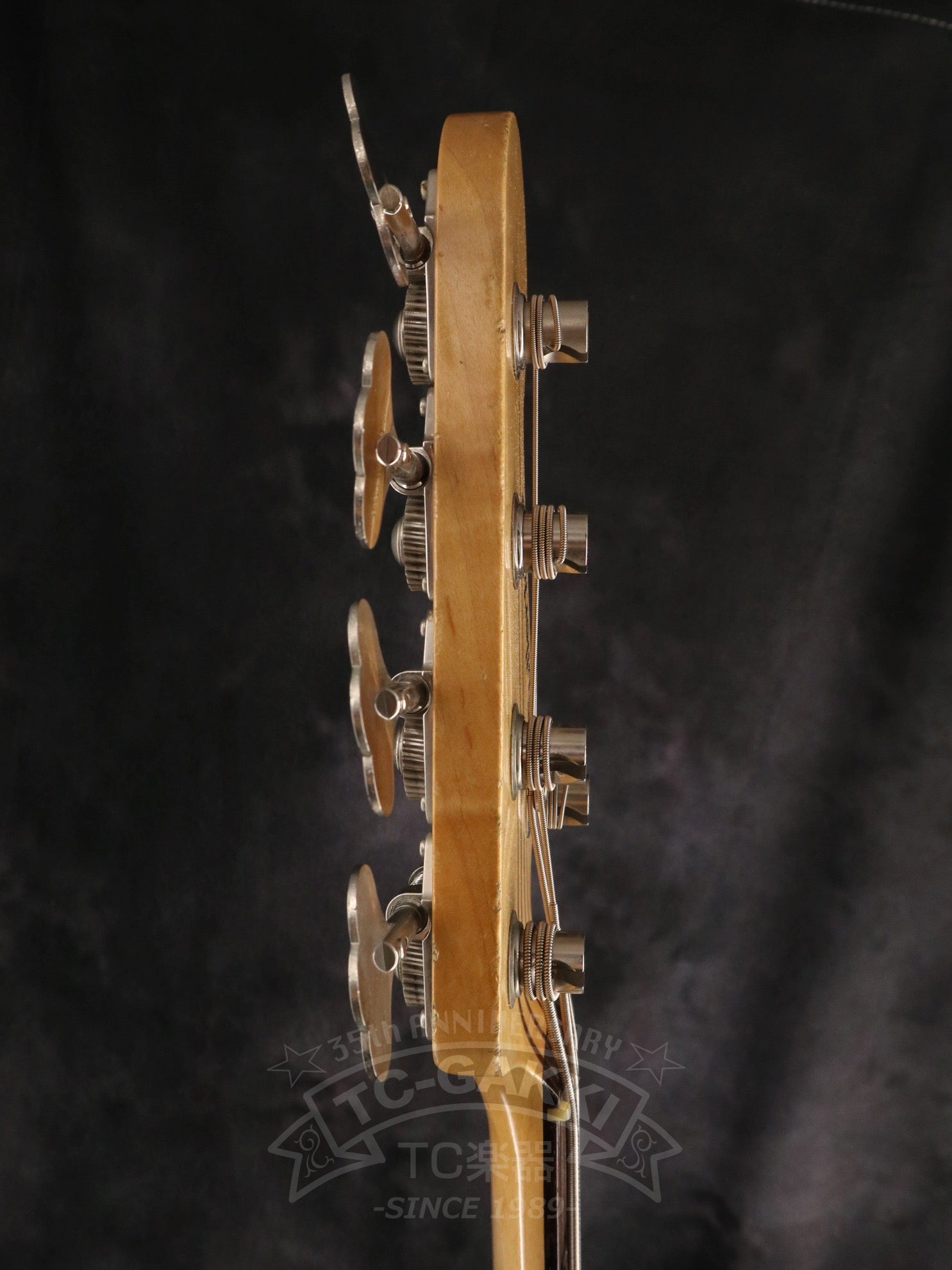 2023 JAY - BEE60 5st - TC楽器 - TCGAKKI