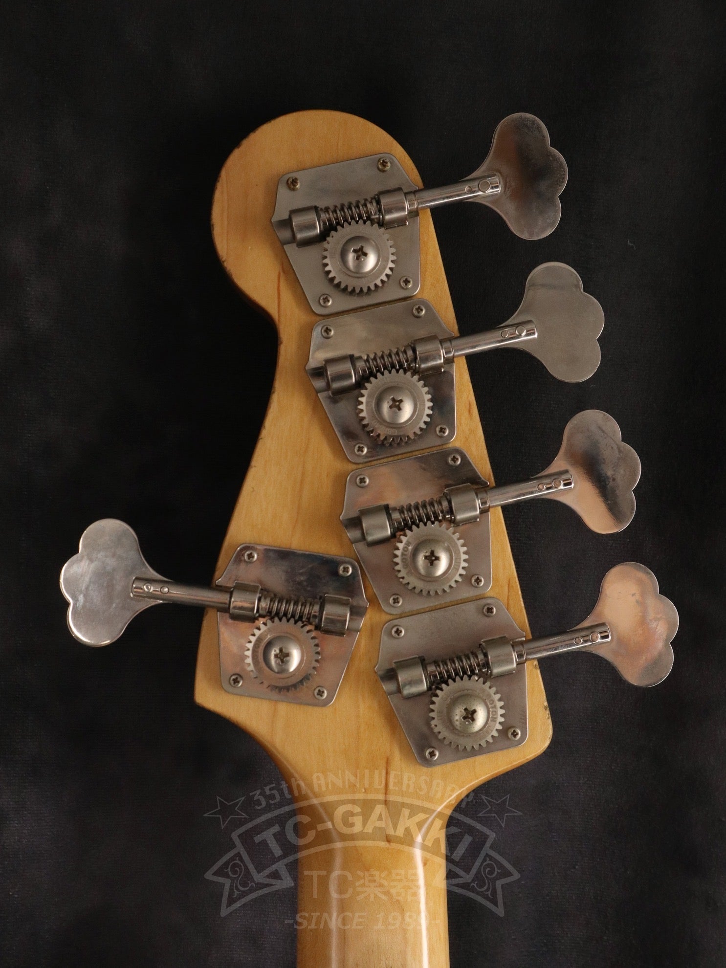 2023 JAY - BEE60 5st - TC楽器 - TCGAKKI