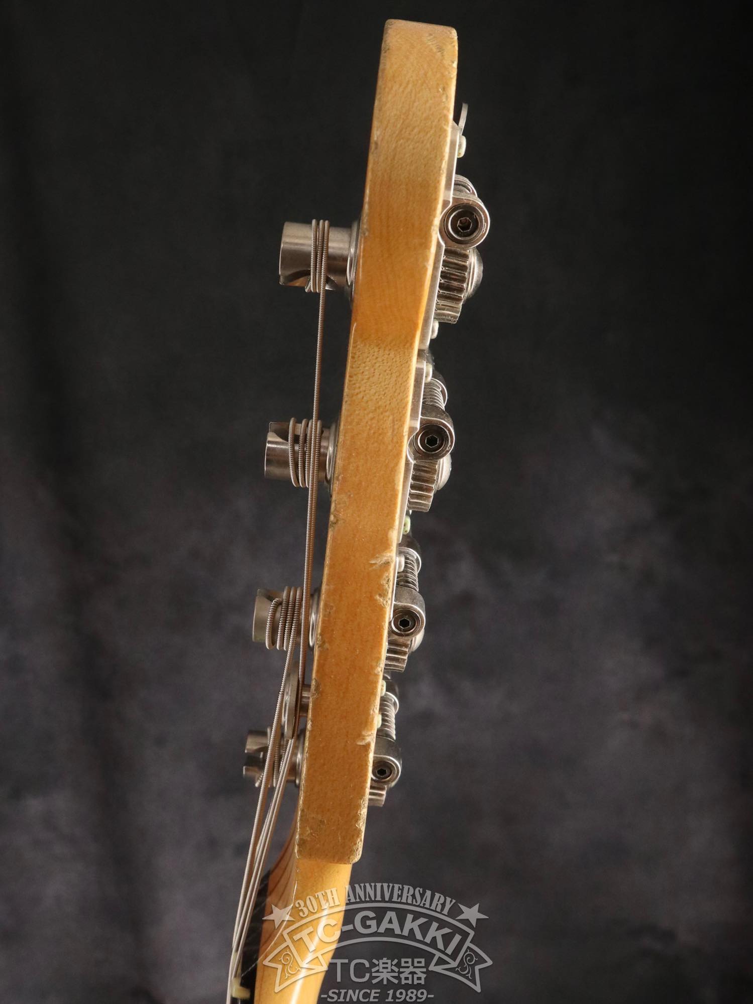 2023 PRO - BAGANDA60 - TC楽器 - TCGAKKI
