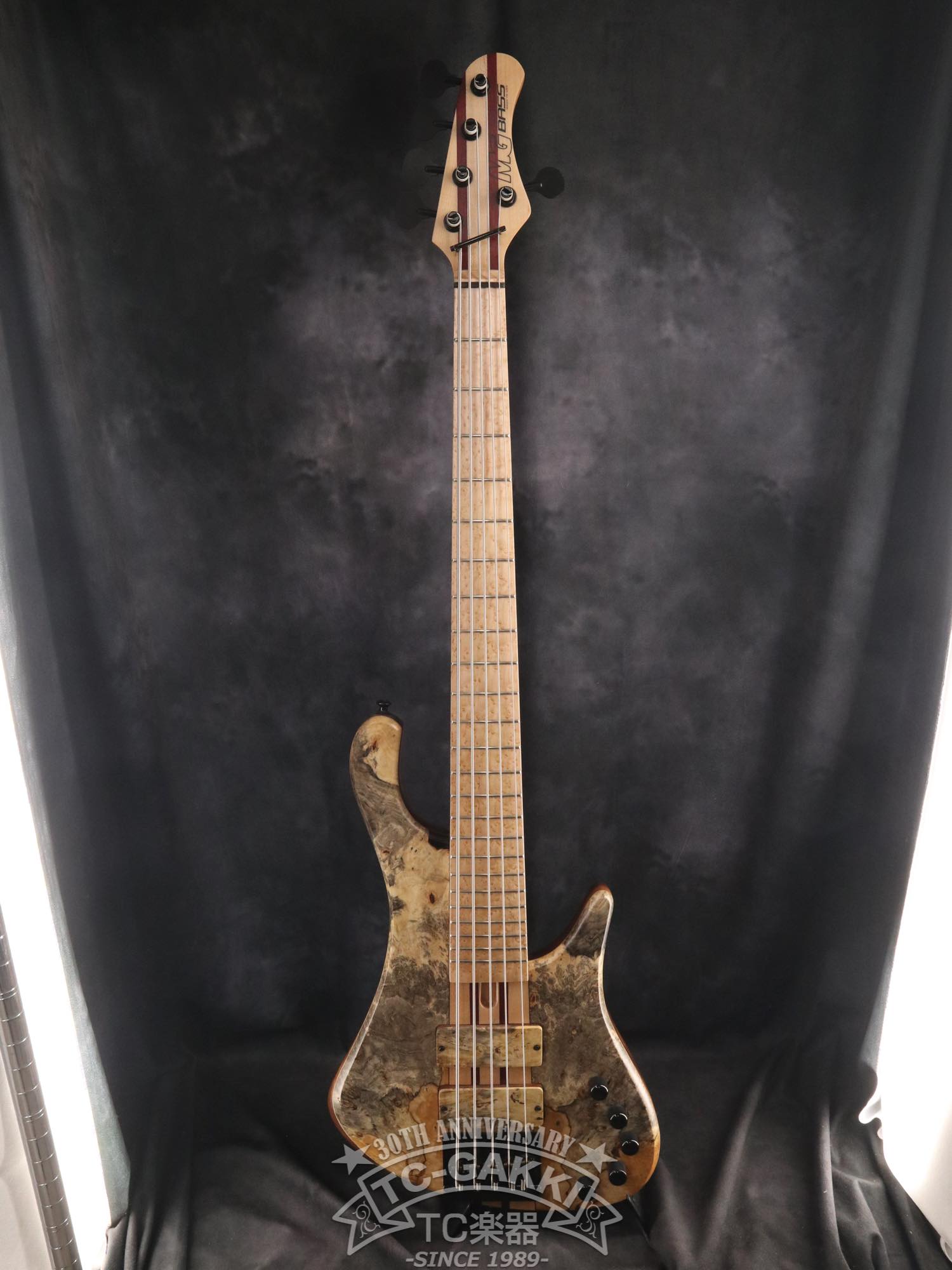 2024 Africa 5 Strings - TC楽器 - TCGAKKI